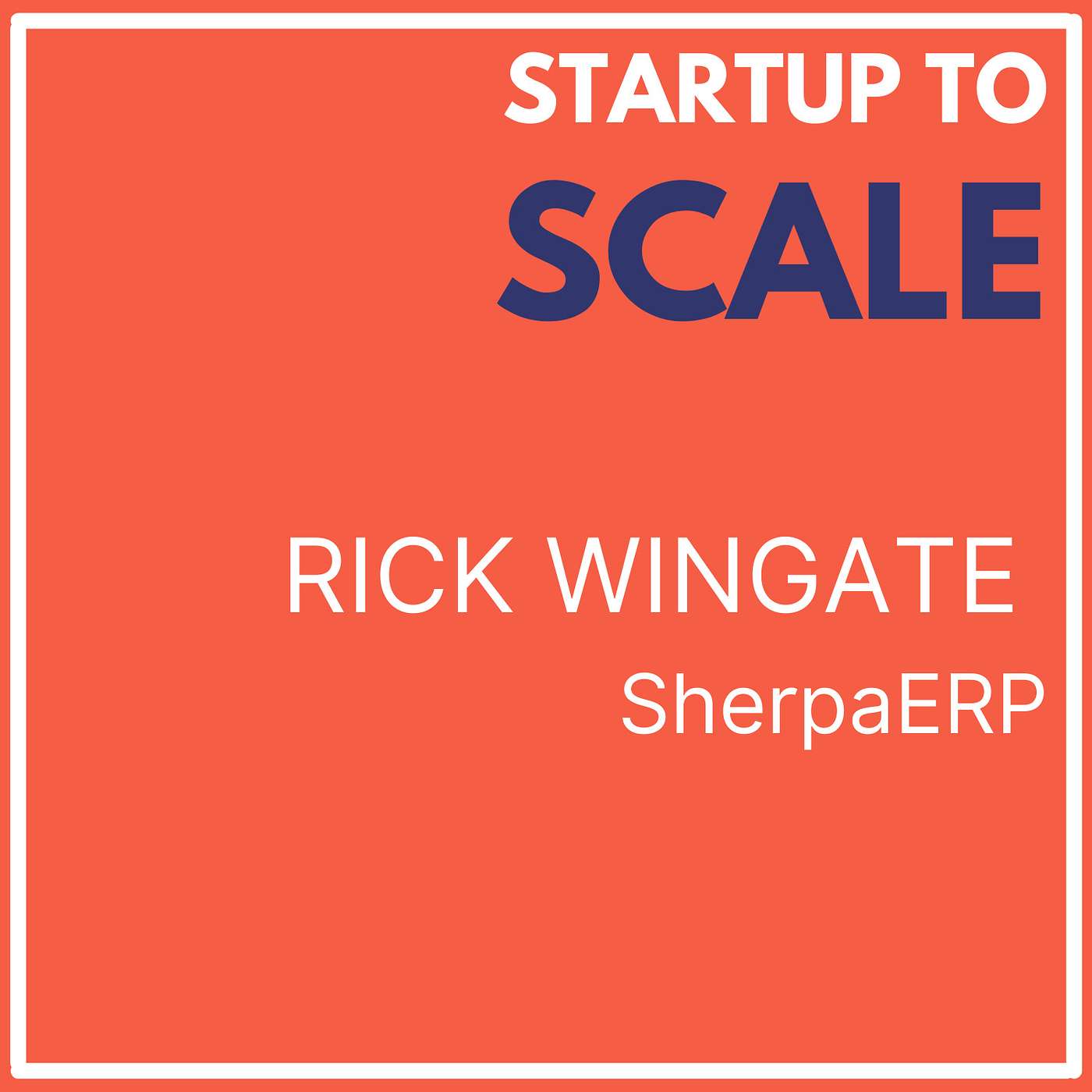Startup To Scale