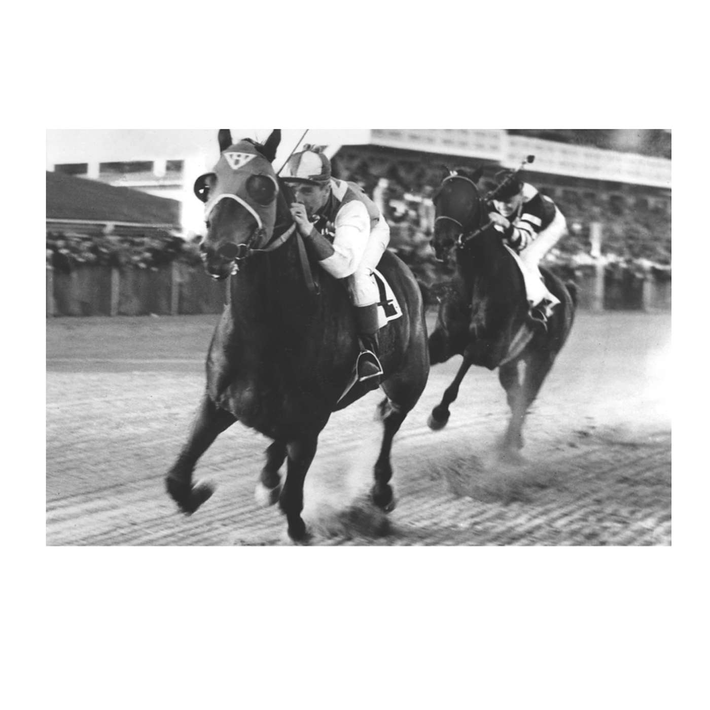 Sunday, February 1, 2026 -  PIMLICO, home of Seabiscuit's greatest triumph!