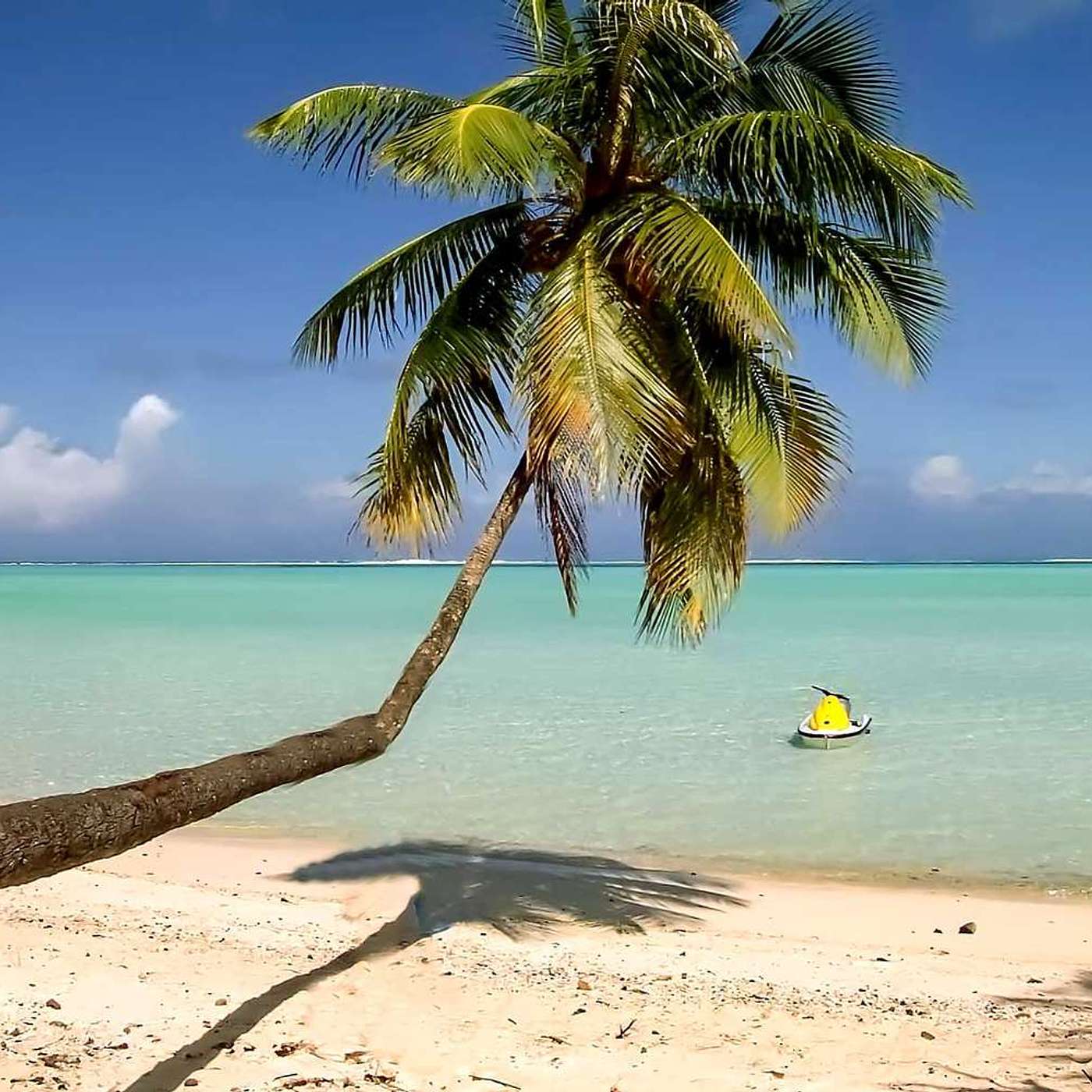 Spanish With Jamie cover art