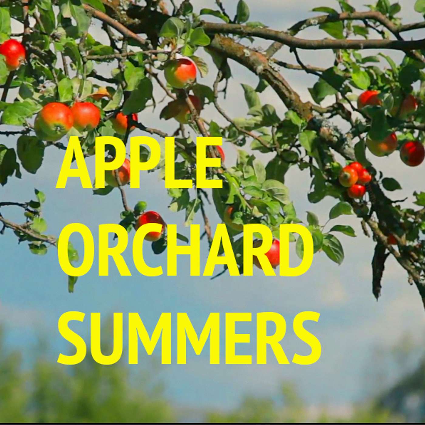 Apple Orchard Summers