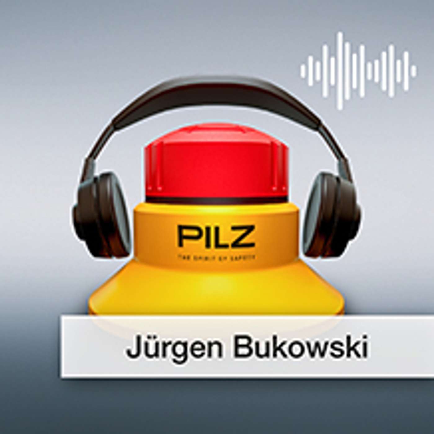 Pilz GmbH & Co. KG