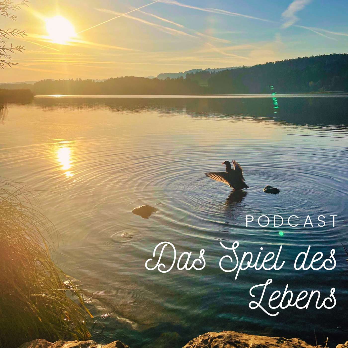 Das Spiel des Lebens