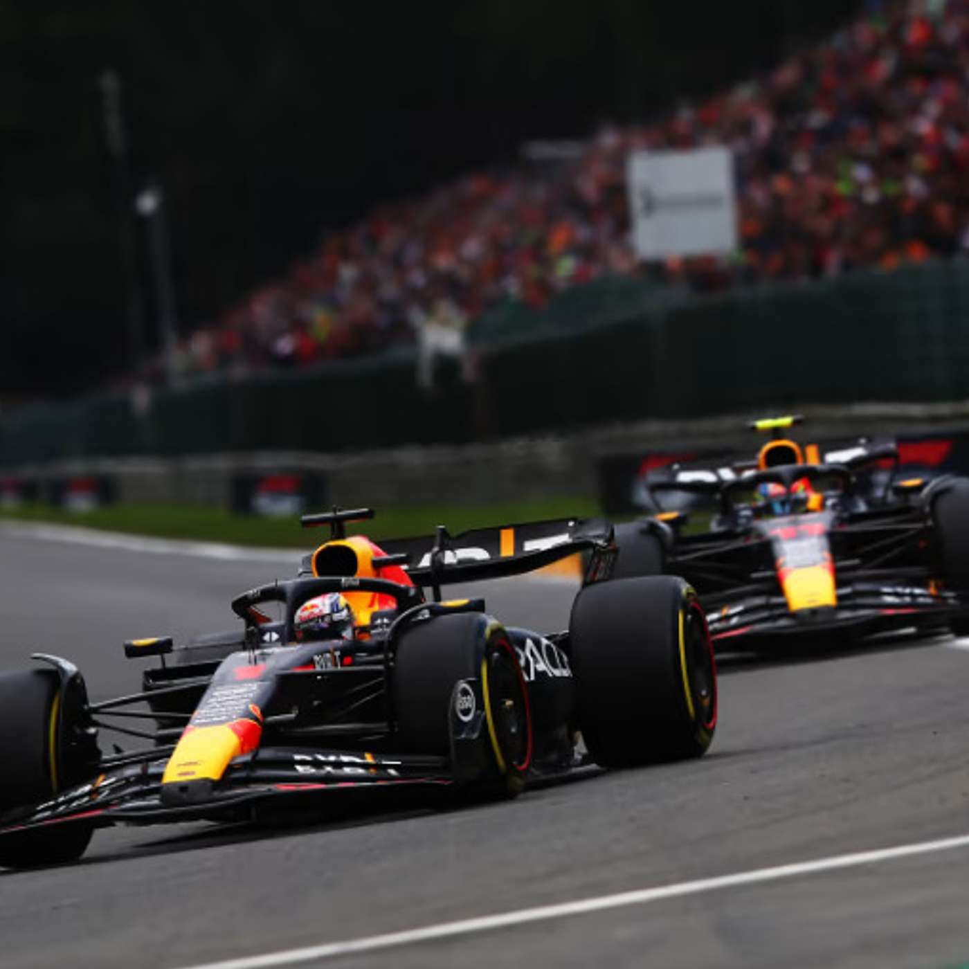 F1 Fanatiki