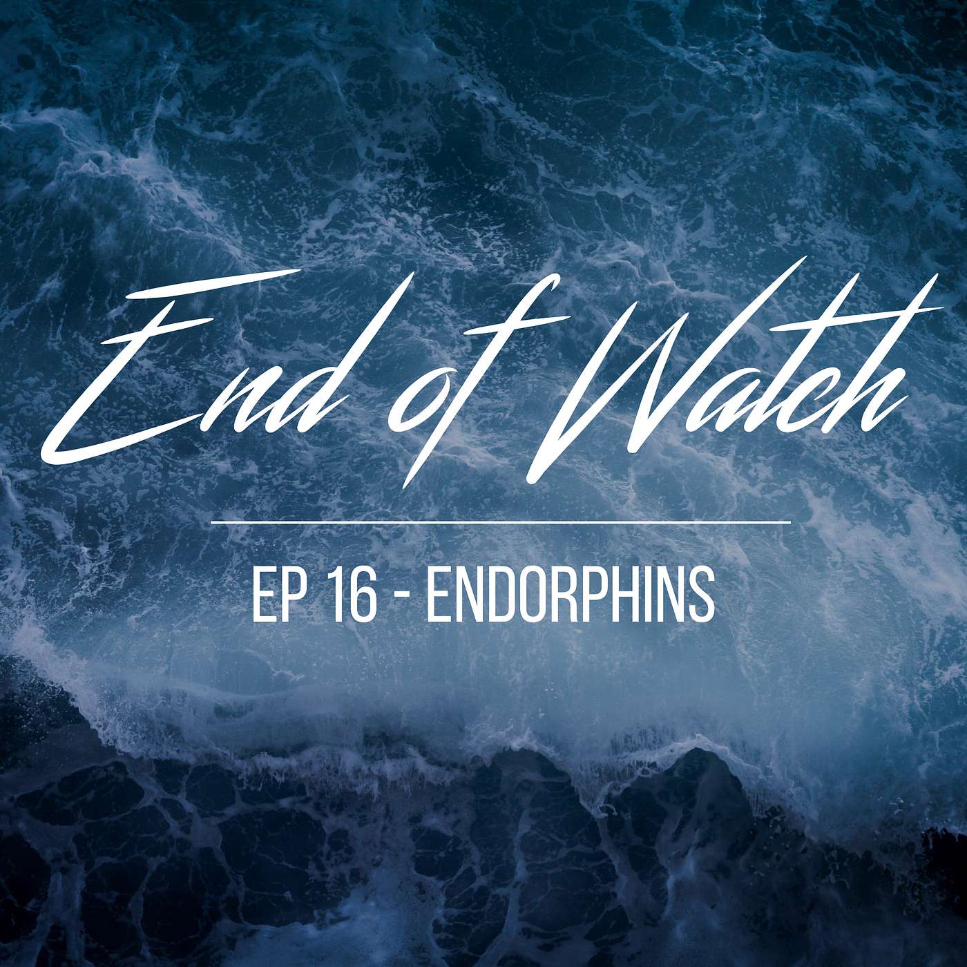 End of Watch Episode 16 