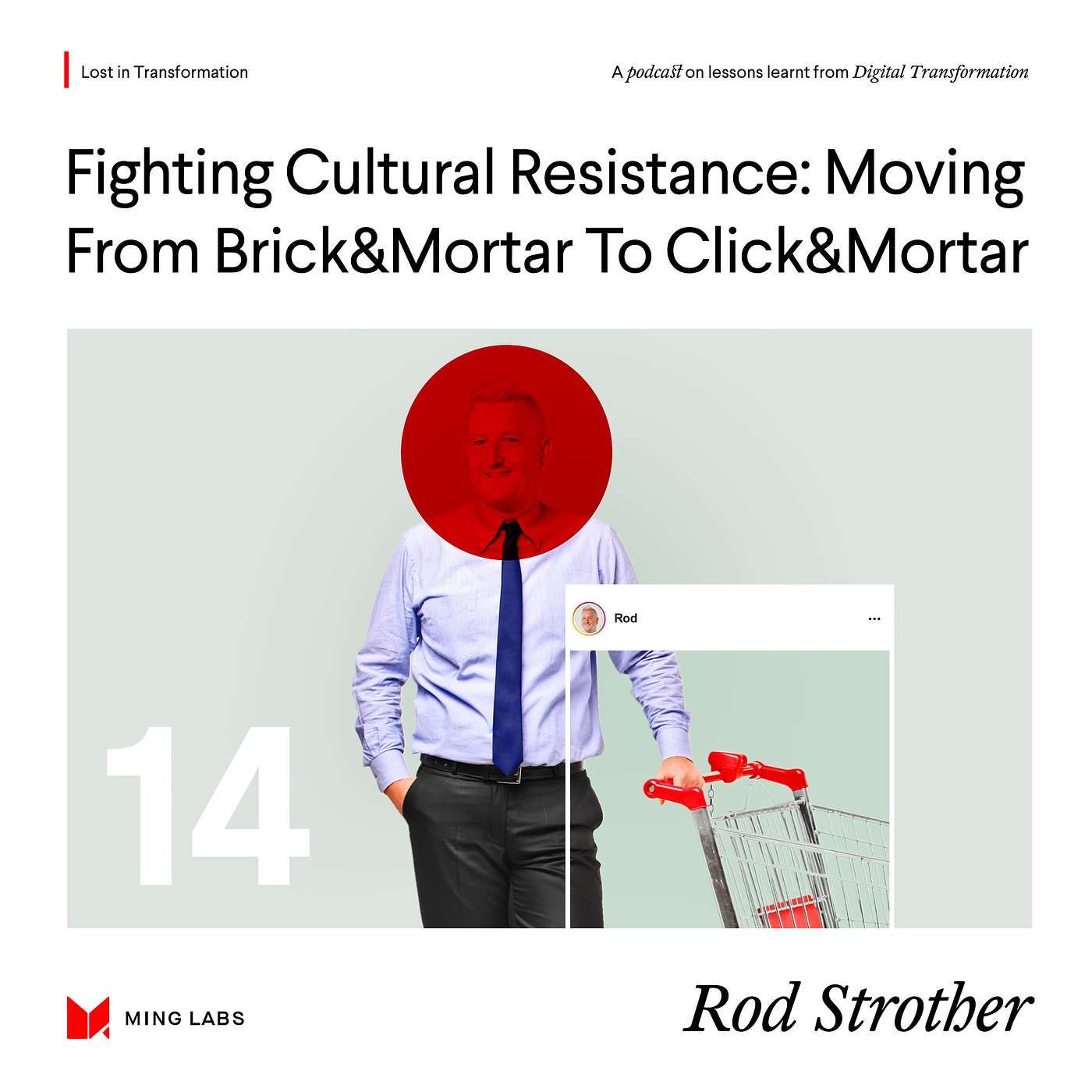 Fighting Cultural Resistance: Moving From Brick&Mortar to Click&Mortar