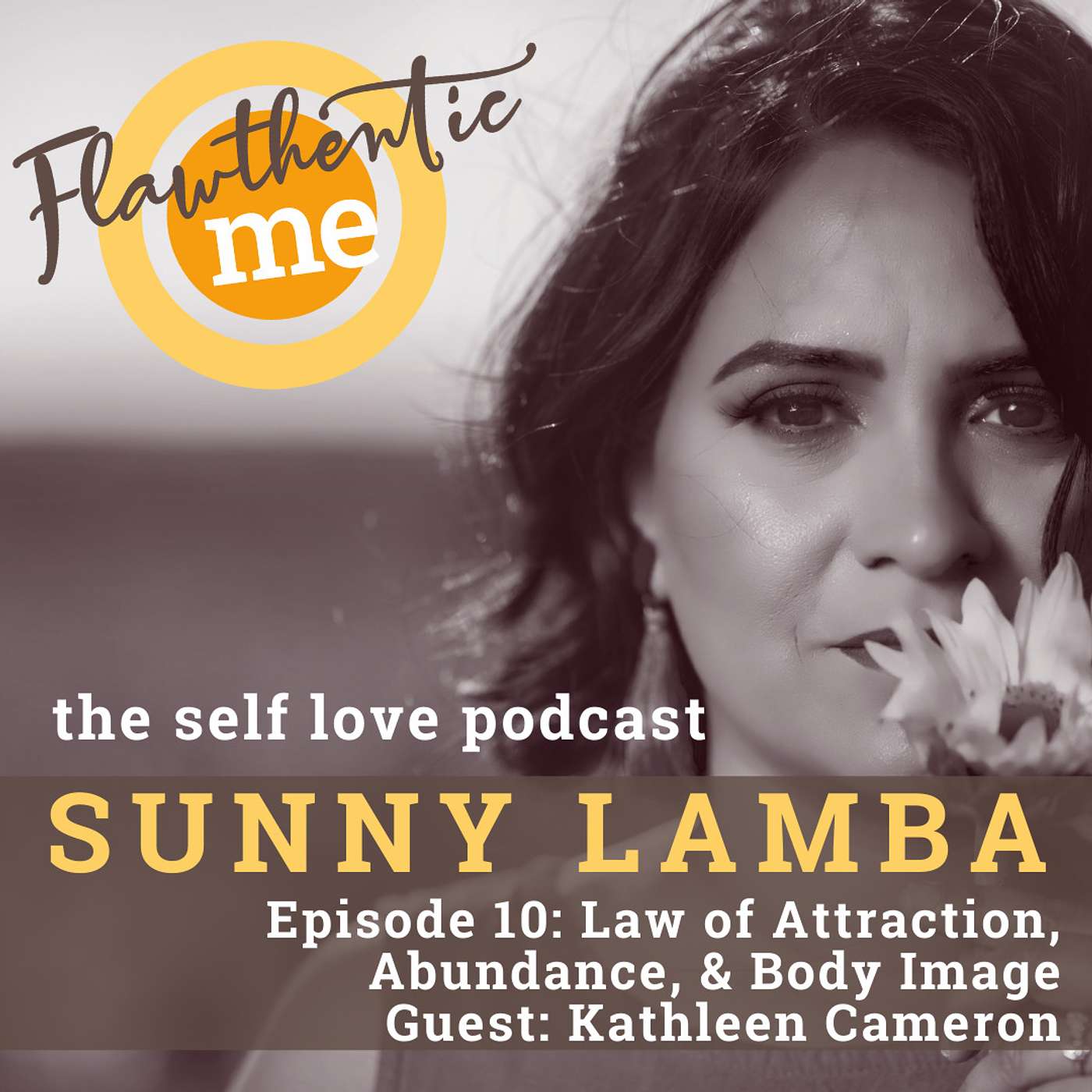 010: Law of Attraction, Abundance, and Body Image with Kathleen Cameron