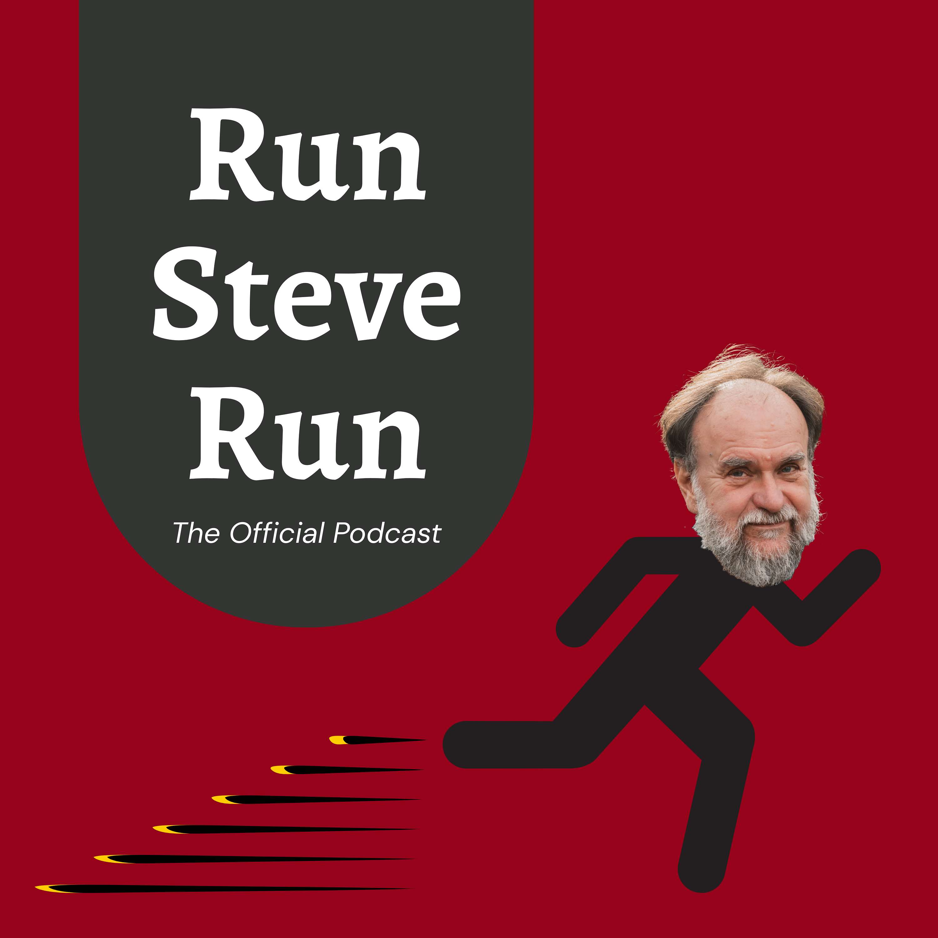 Run Steve Run: WSFCS School Board cover art