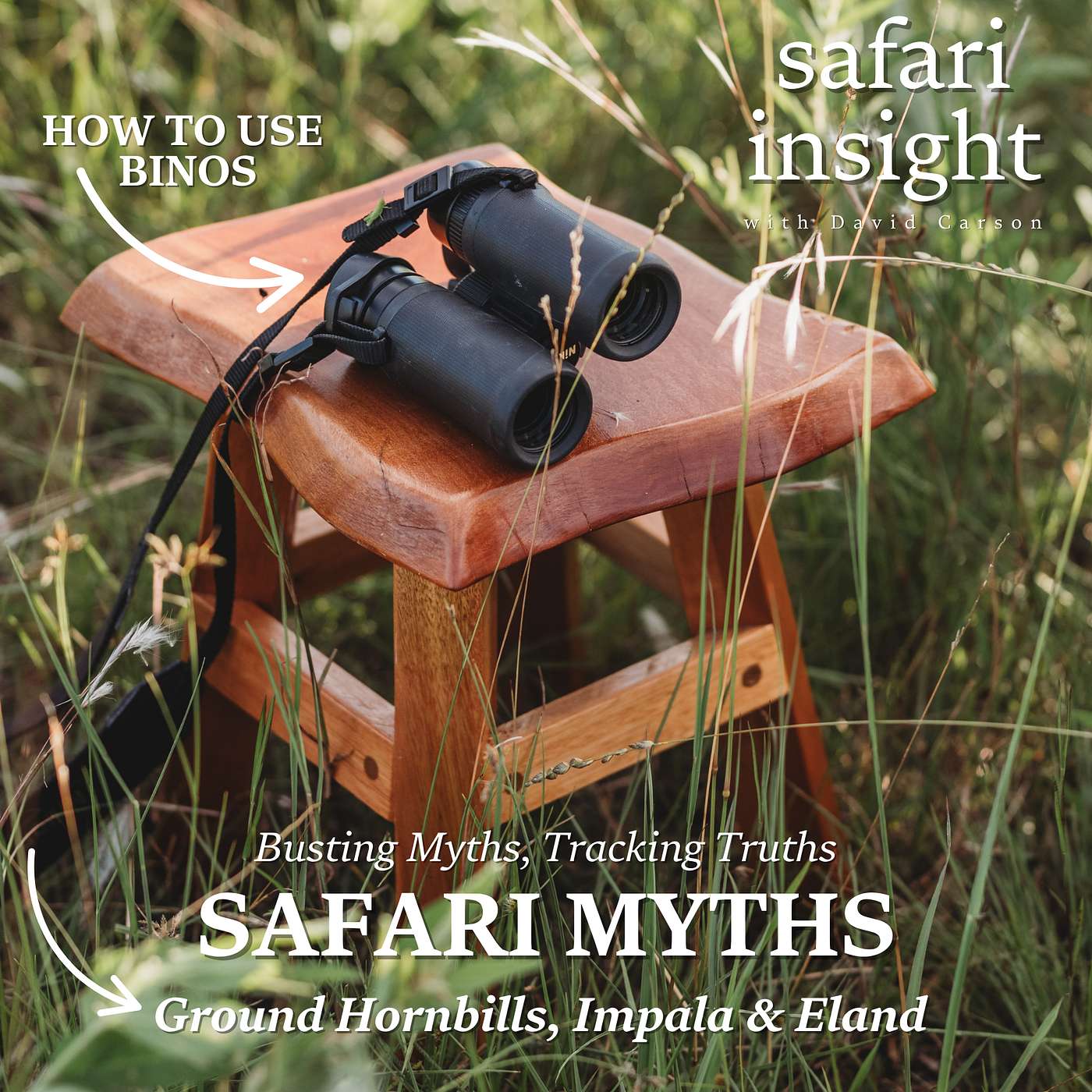 Safari Myths Safari Myths
