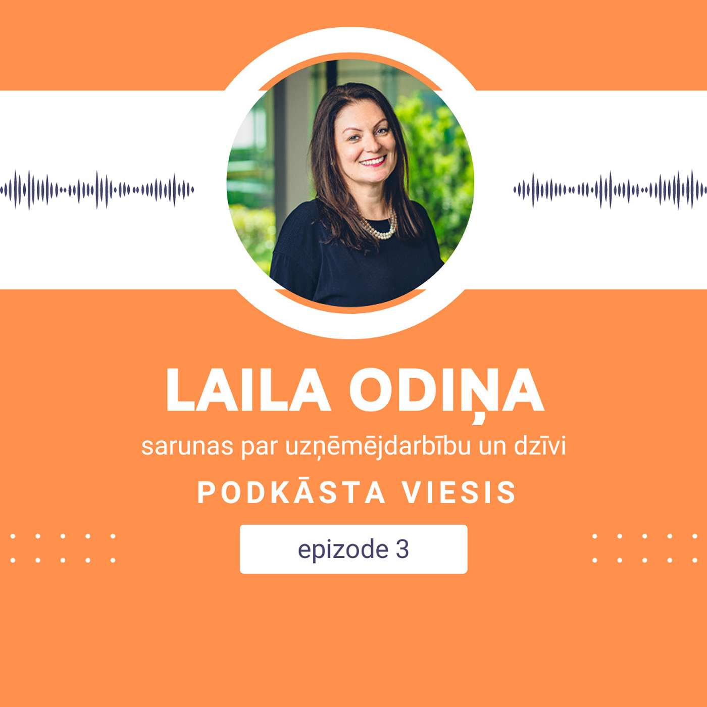 s02e03 - Laila Odiņa episode artwork