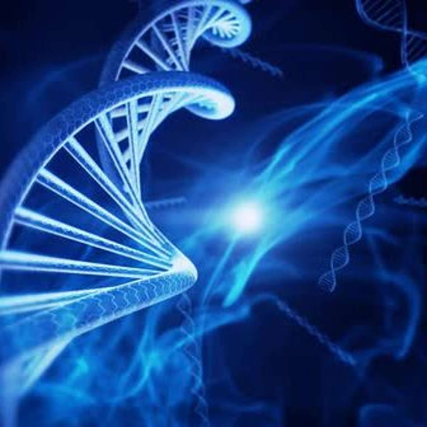Biblical Bioethics with Nik Nikas
