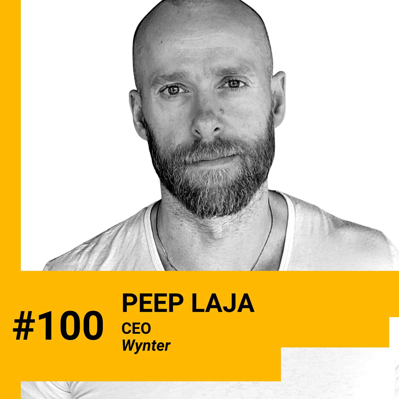 Peep Laja (Wynter) on how to build competitive messaging, AI, personal brand, billion dollar difference right timing can make, and surprising way kids unlock productivity. Ep 100