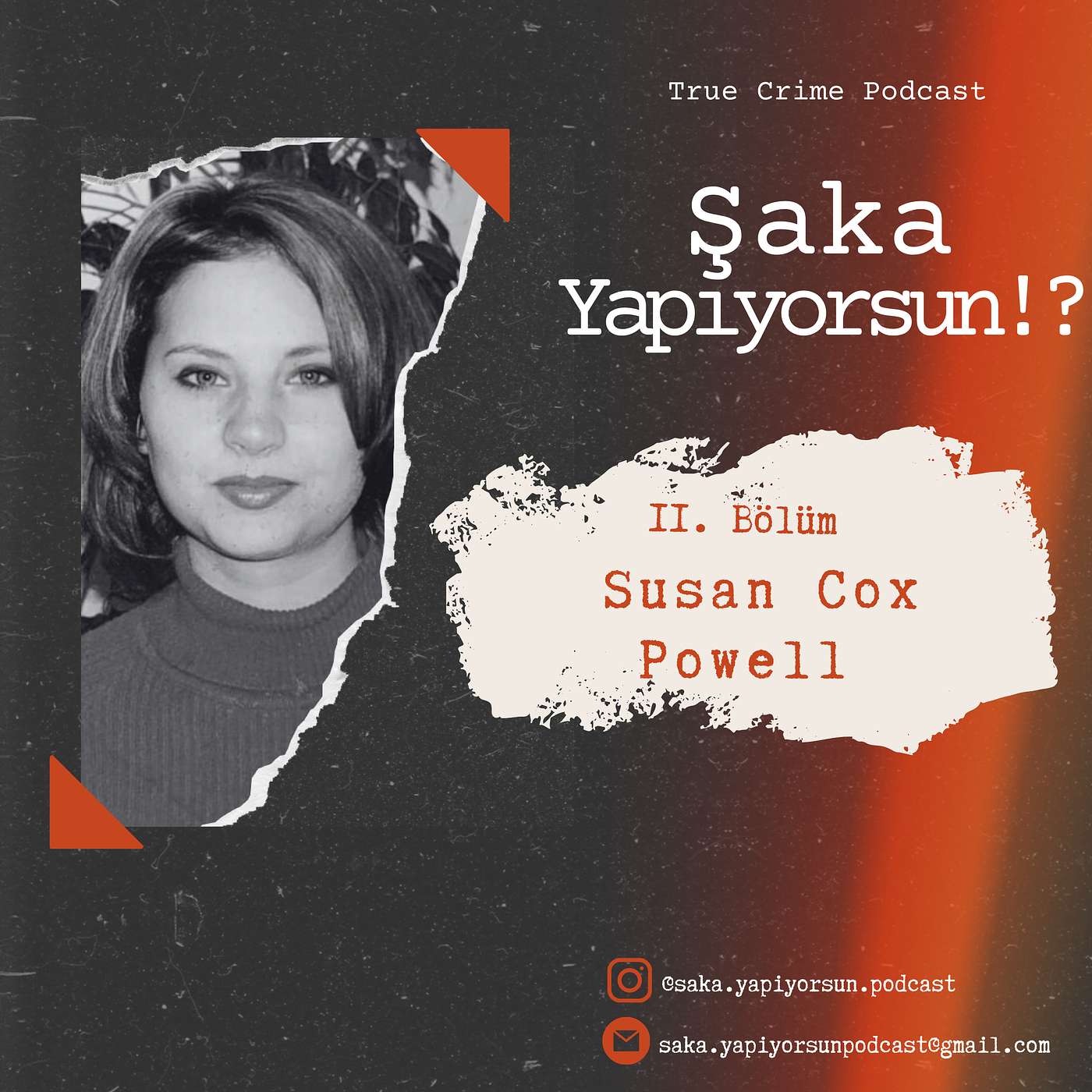 KAYIP: Susan Cox Powell– Bir "Aile" Hikayesi