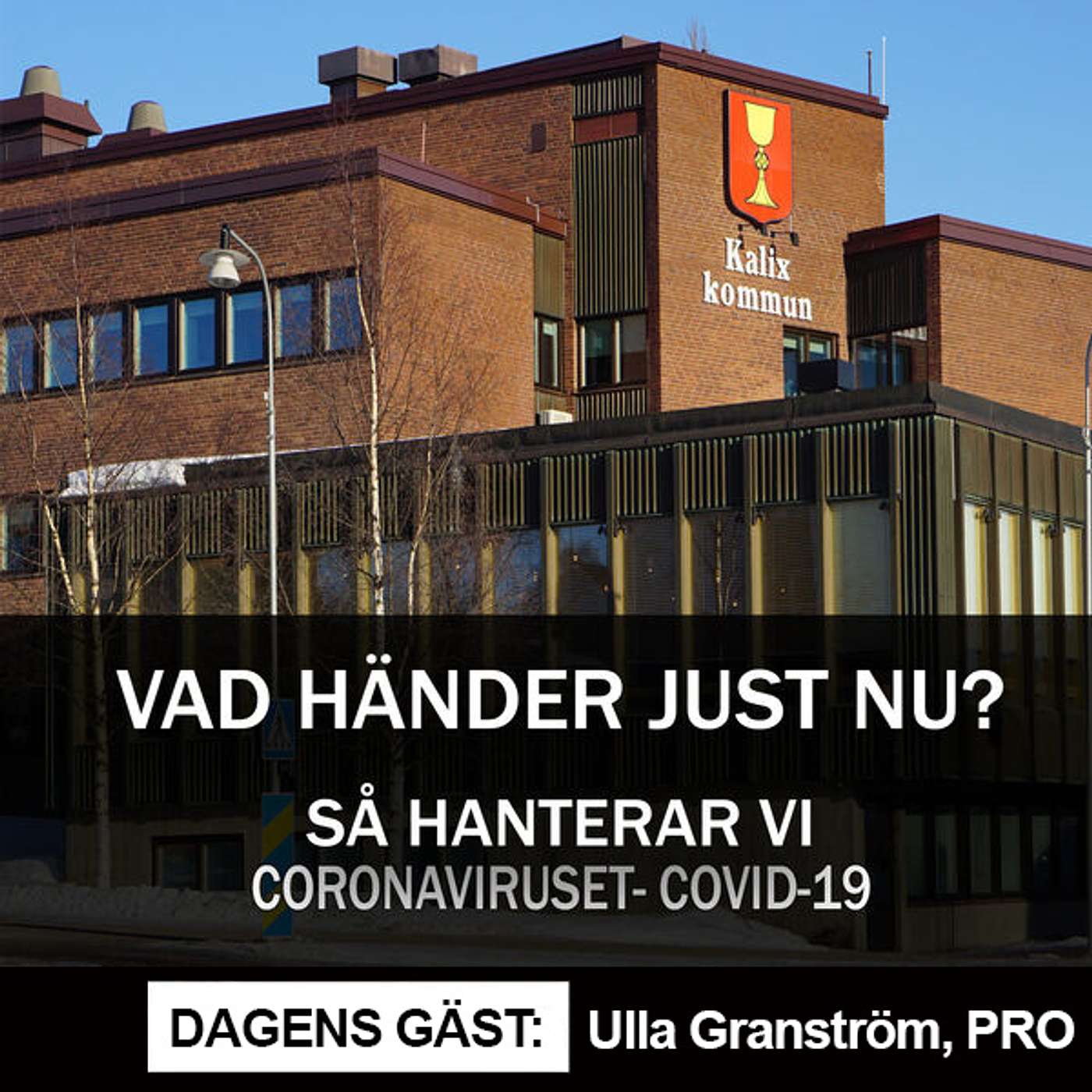 Kalixpodden
