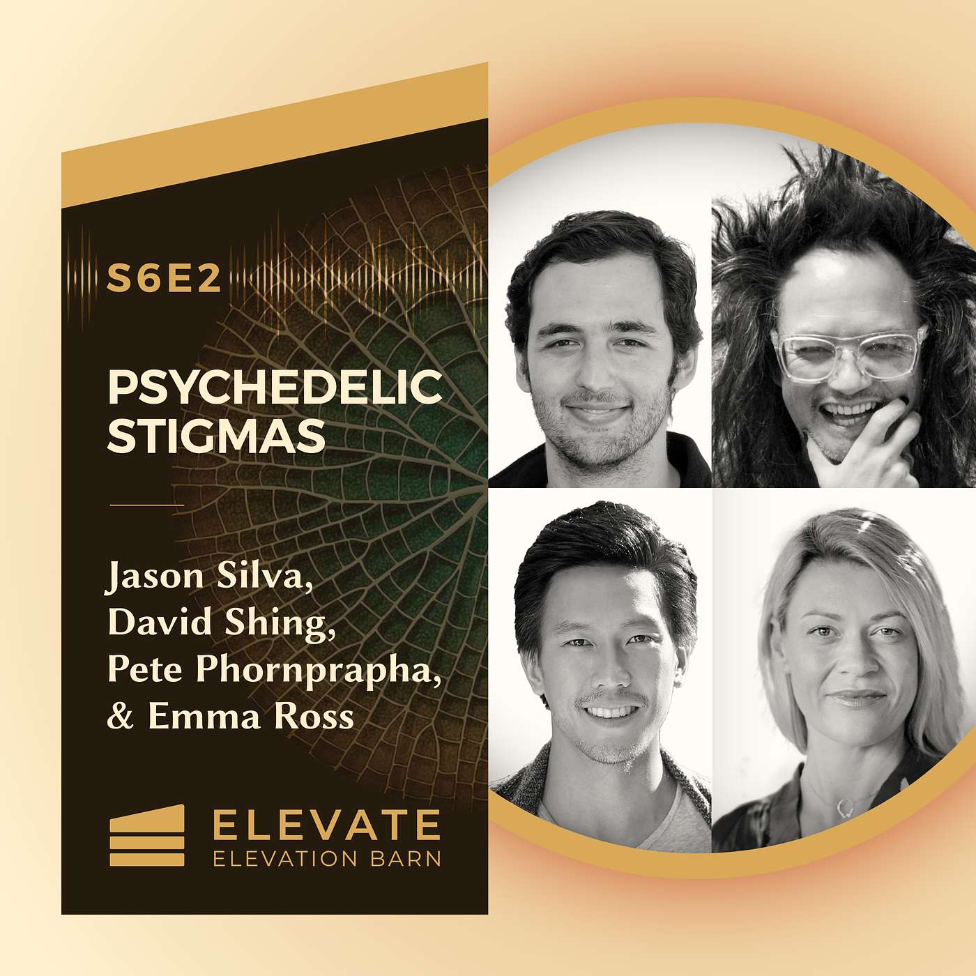#64. Psychedelic Stigmas | Jason Silva, David Shing, Pete Phornprapha and Emma Ross episode artwork