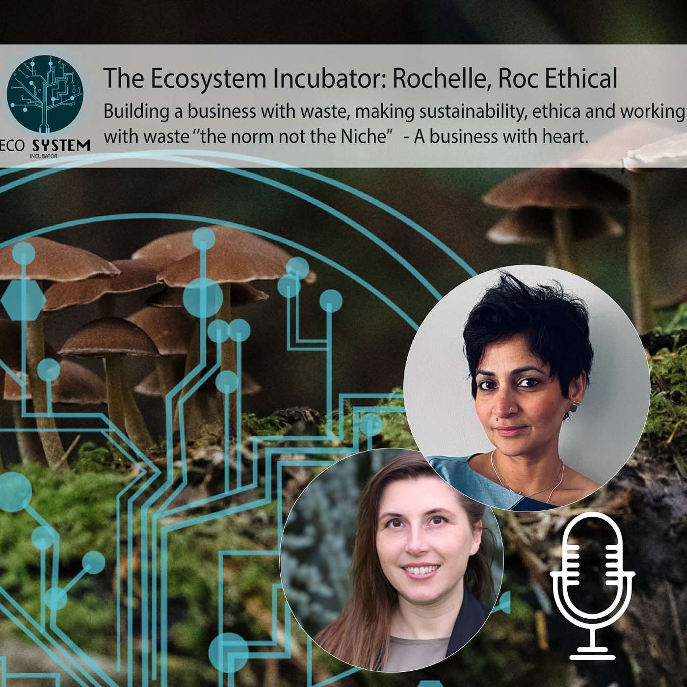 The Ecosystem Incubator - Fashion in living systems
