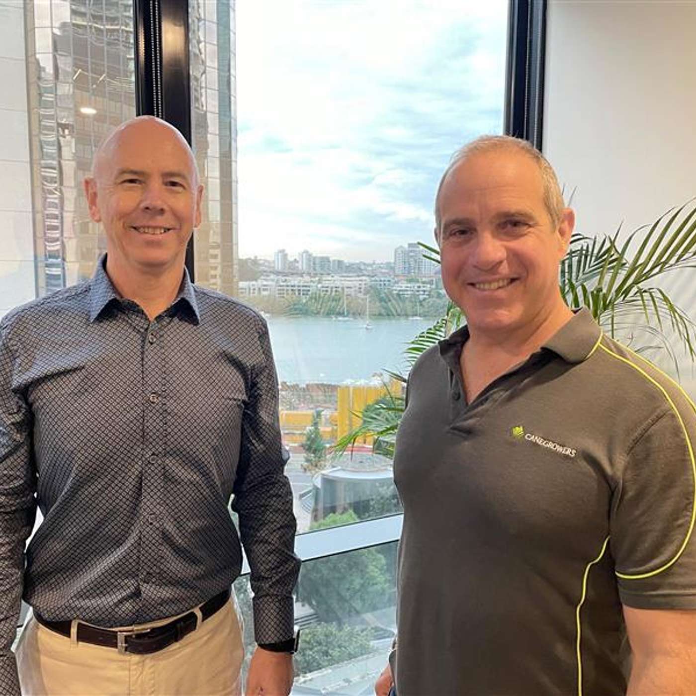 Stay Ahead: Smart Sugar Pricing Strategies You Can Use Today