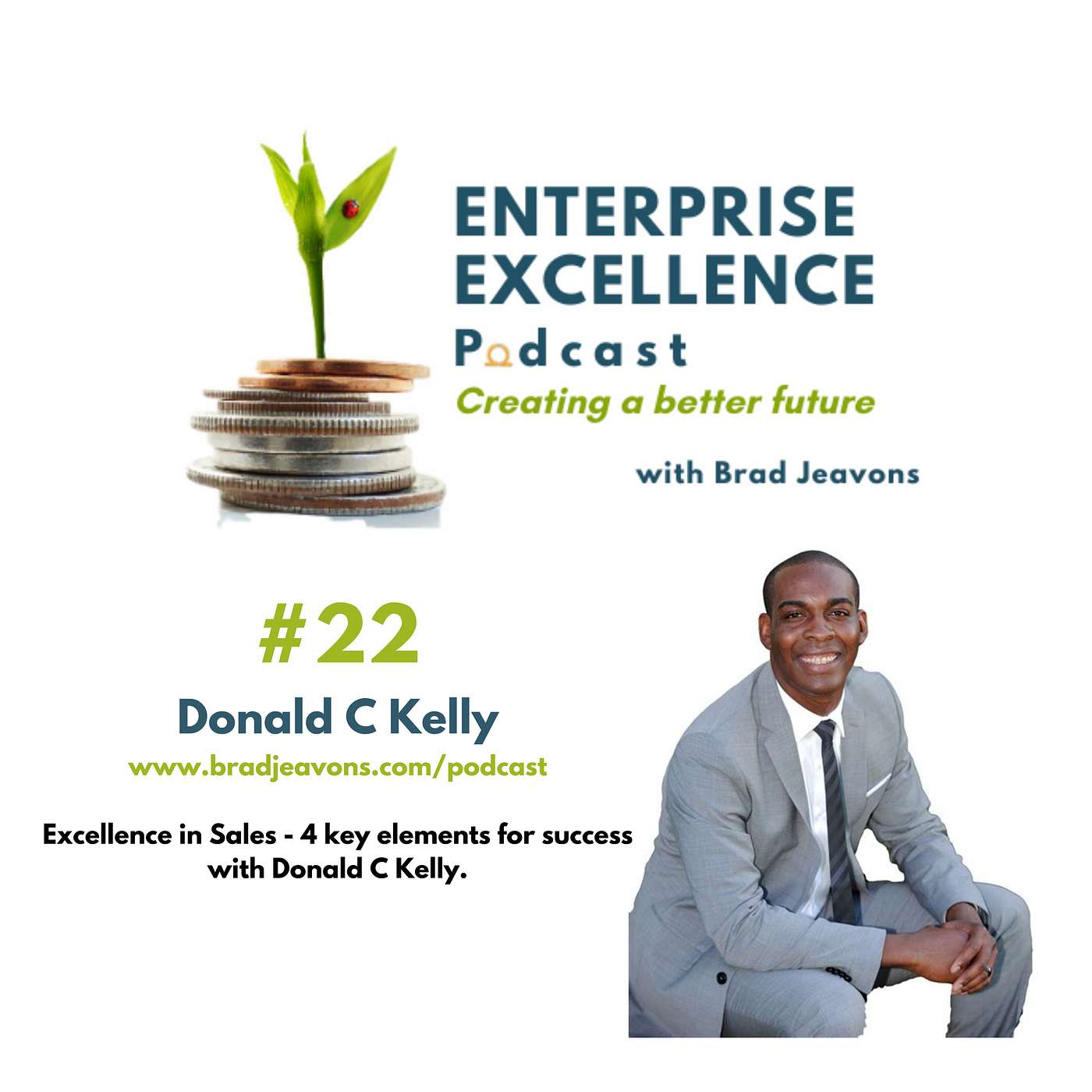 #22 Excellence in Sales - 4 key elements for success with Donald C Kelly. episode artwork