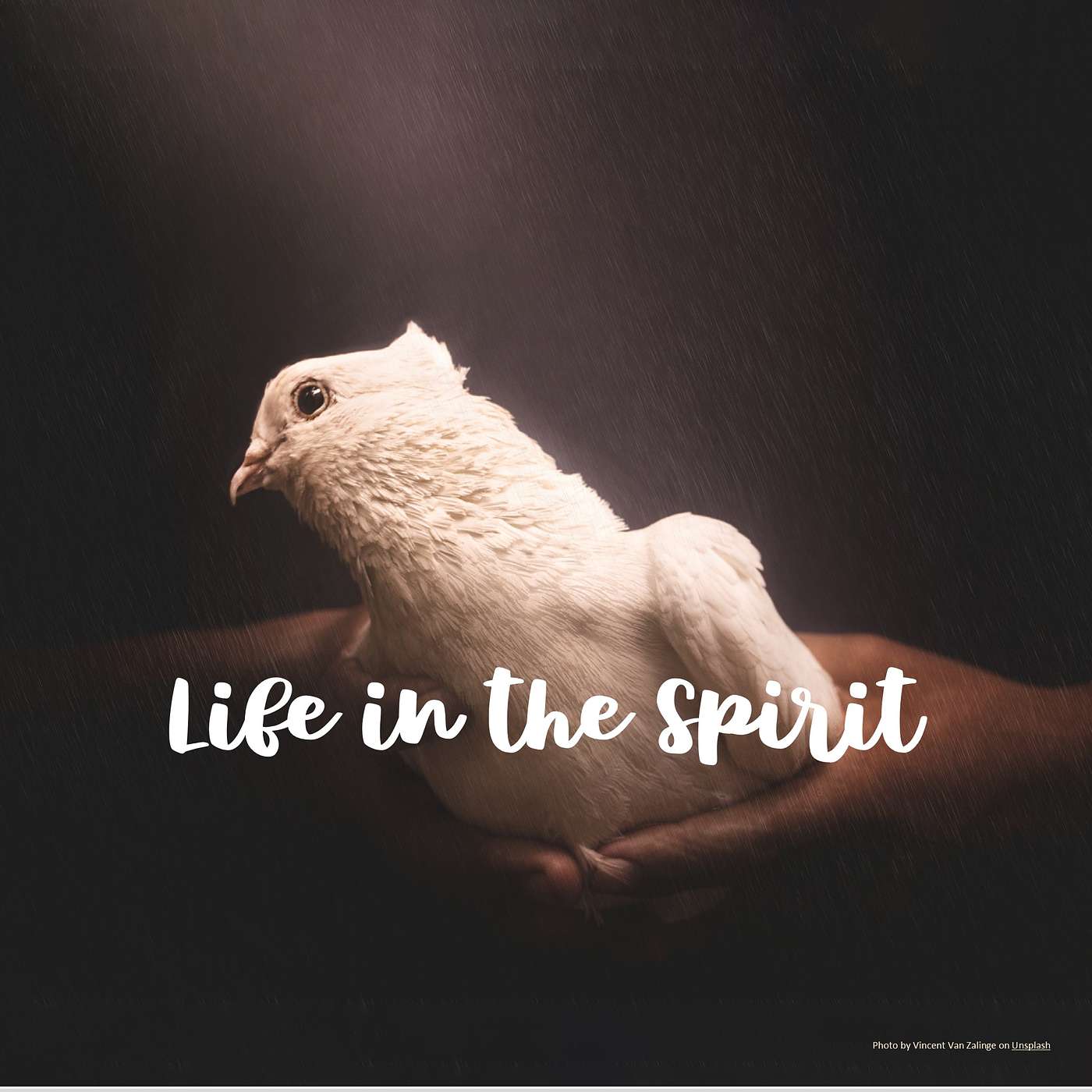 Life in the Spirit