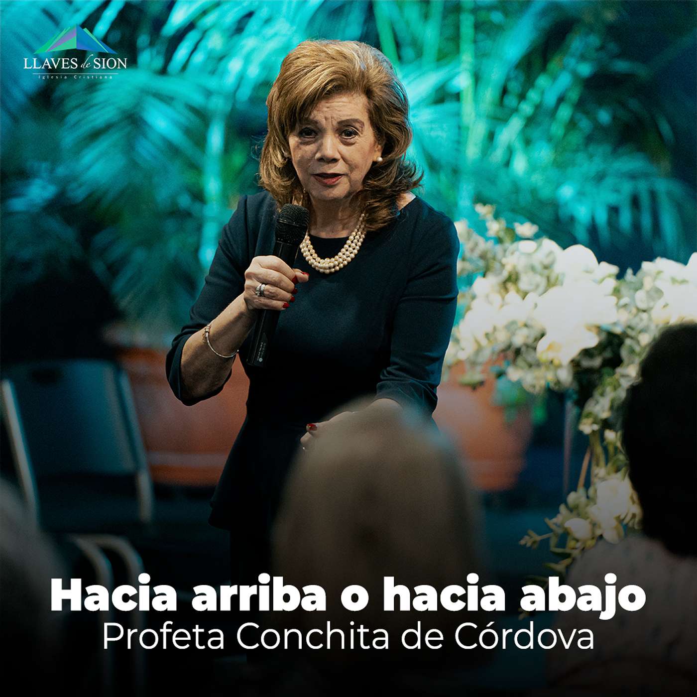 Hacia arriba o hacia abajo episode artwork