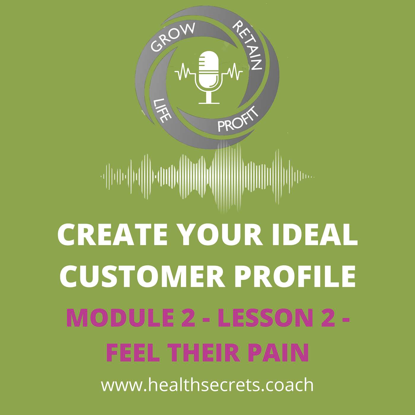7. Create Your Ideal Patient Profile - Module 2 Lesson 2 - Feel Their Pain