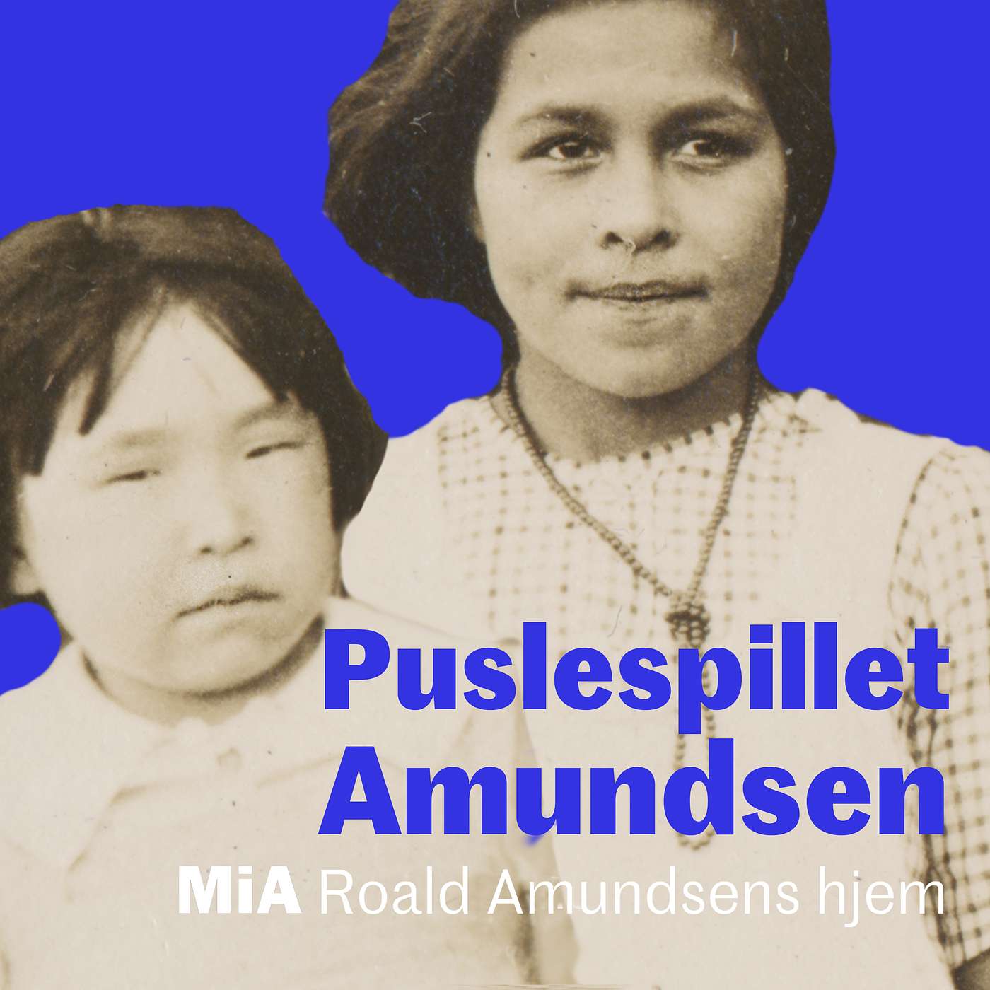 Puslespillet Amundsen