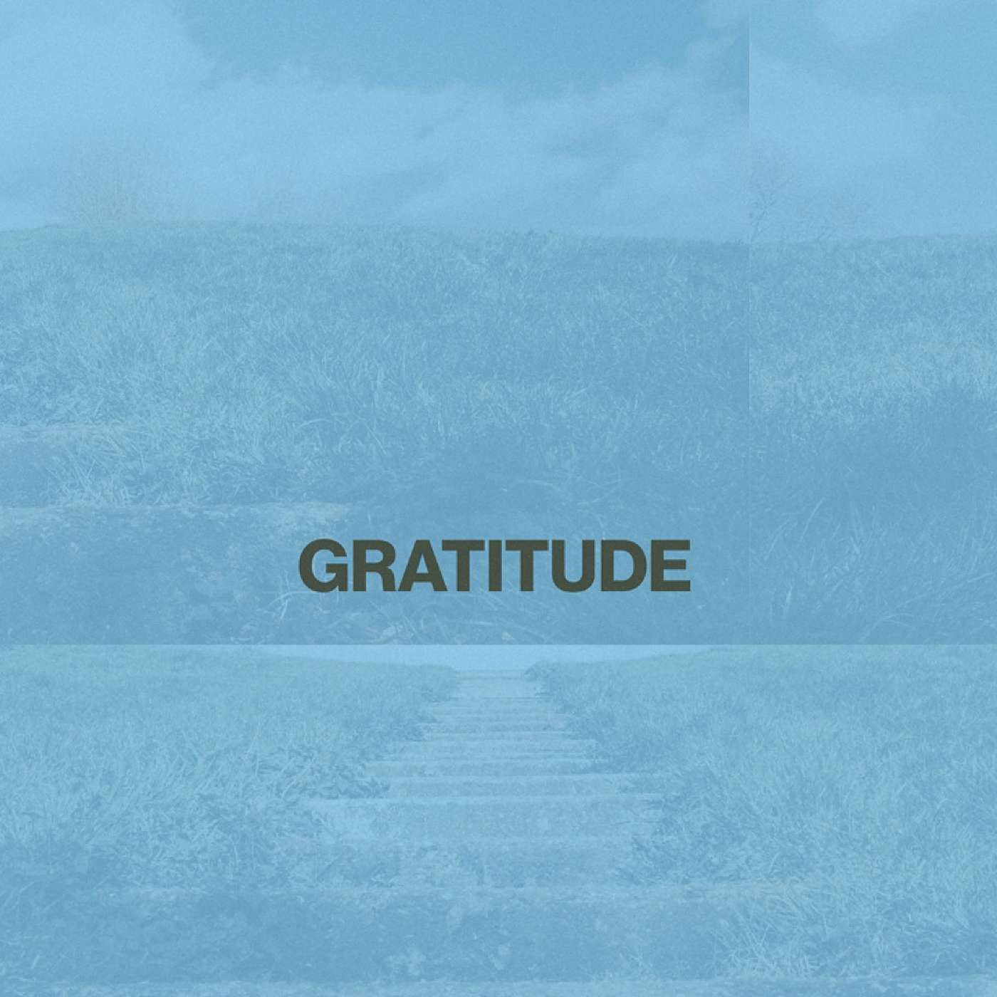 The Way of Gratitude - Week 1