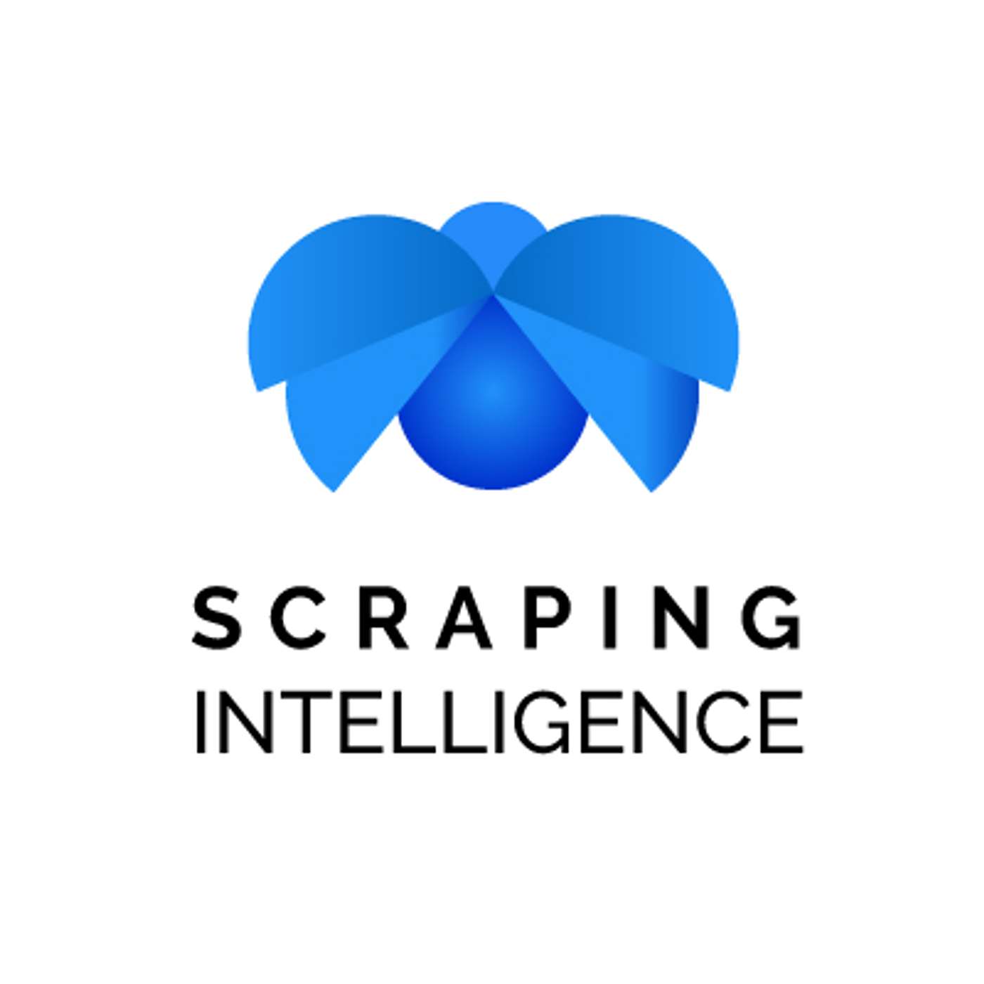 Decoded Data: A Scraping Intelligence Podcast