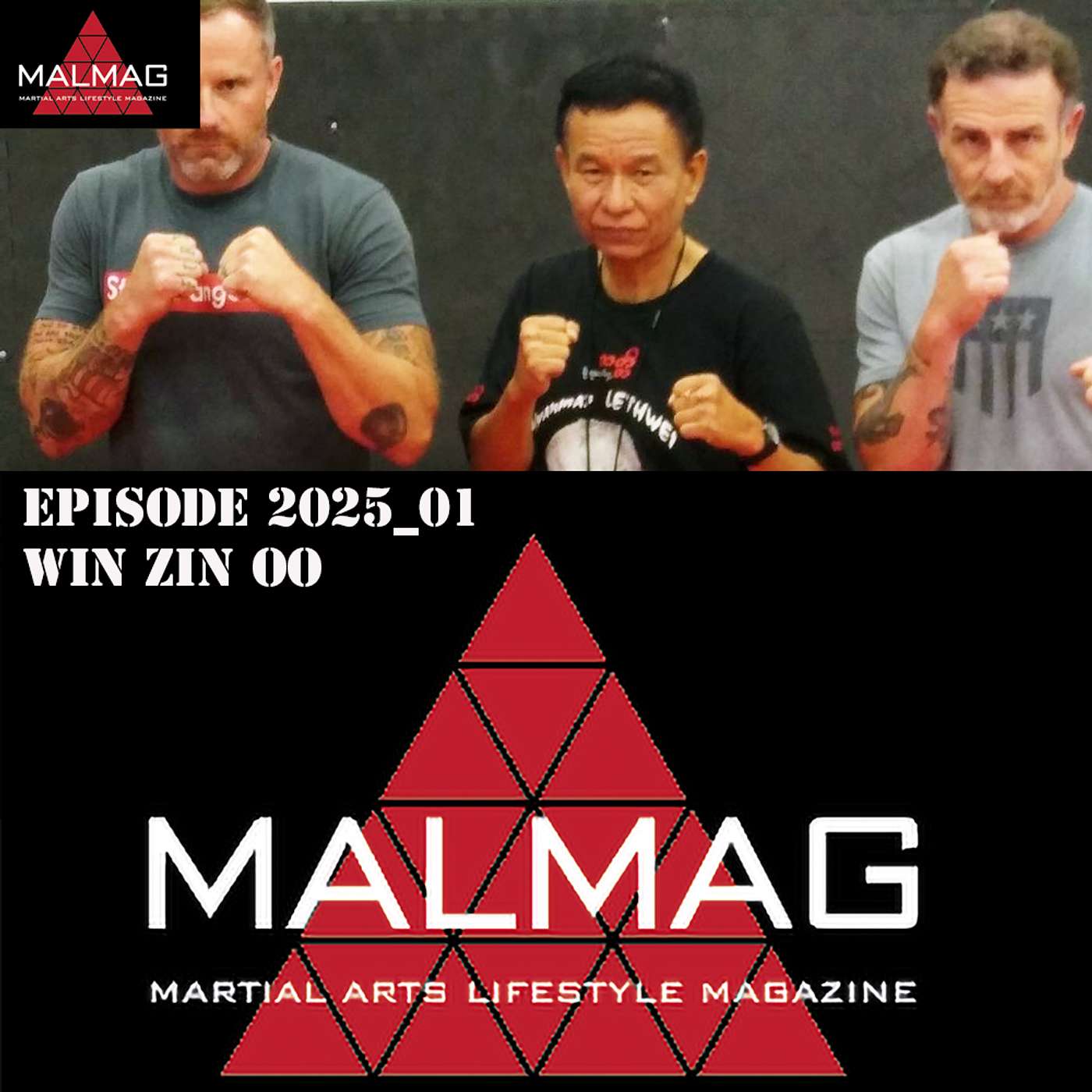 The Martial Arts Lifestyle Podcast