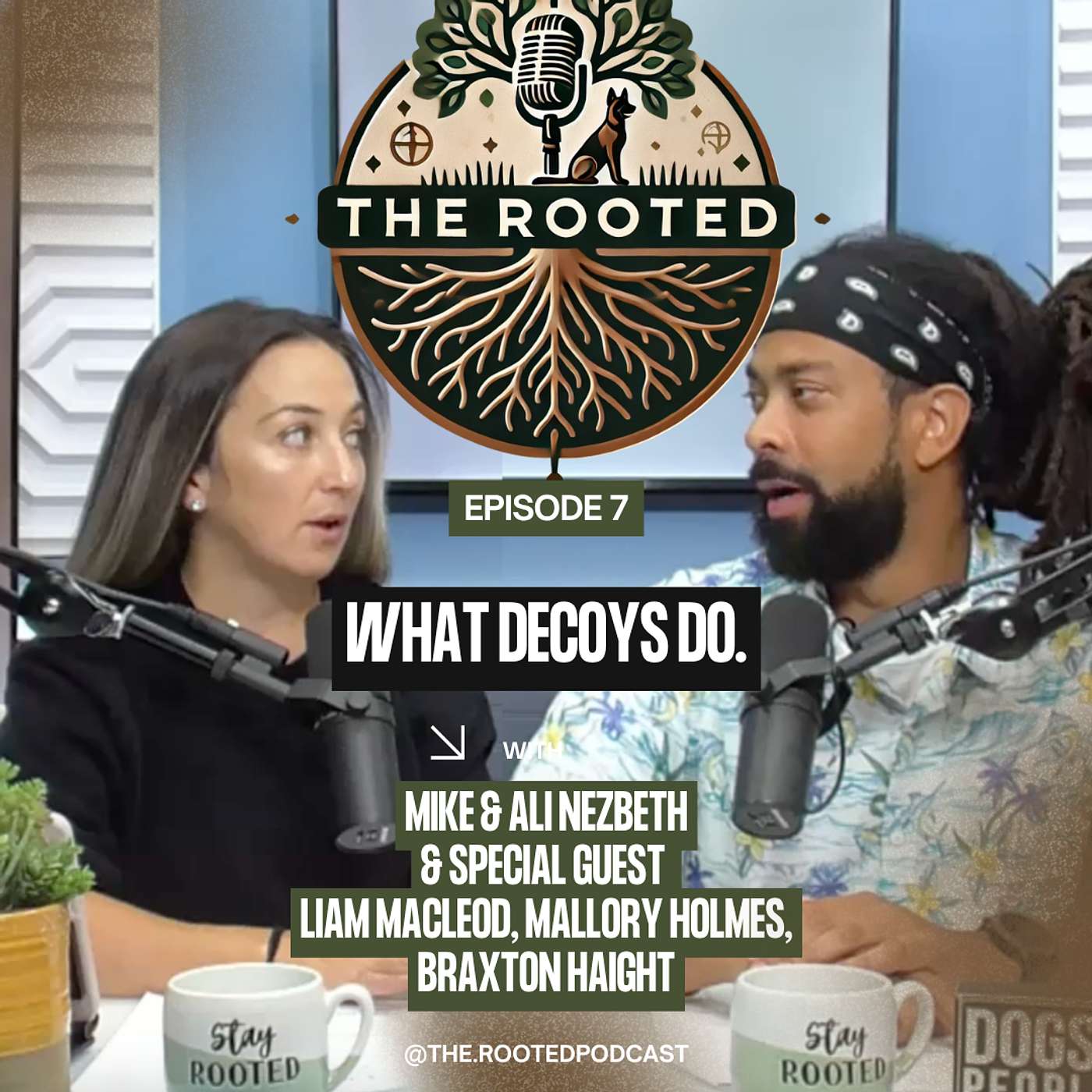 Episode 7 : What Decoys Do Episode 7 : What Decoys Do