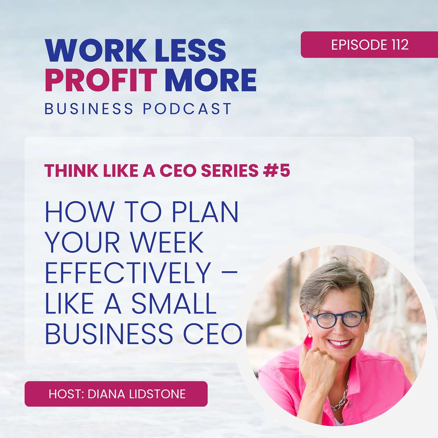 Work Less PROFIT More Business Podcast