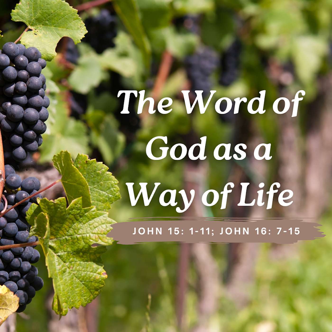 April 28, 2024 | "The Word of God as a Way of Life" episode artwork