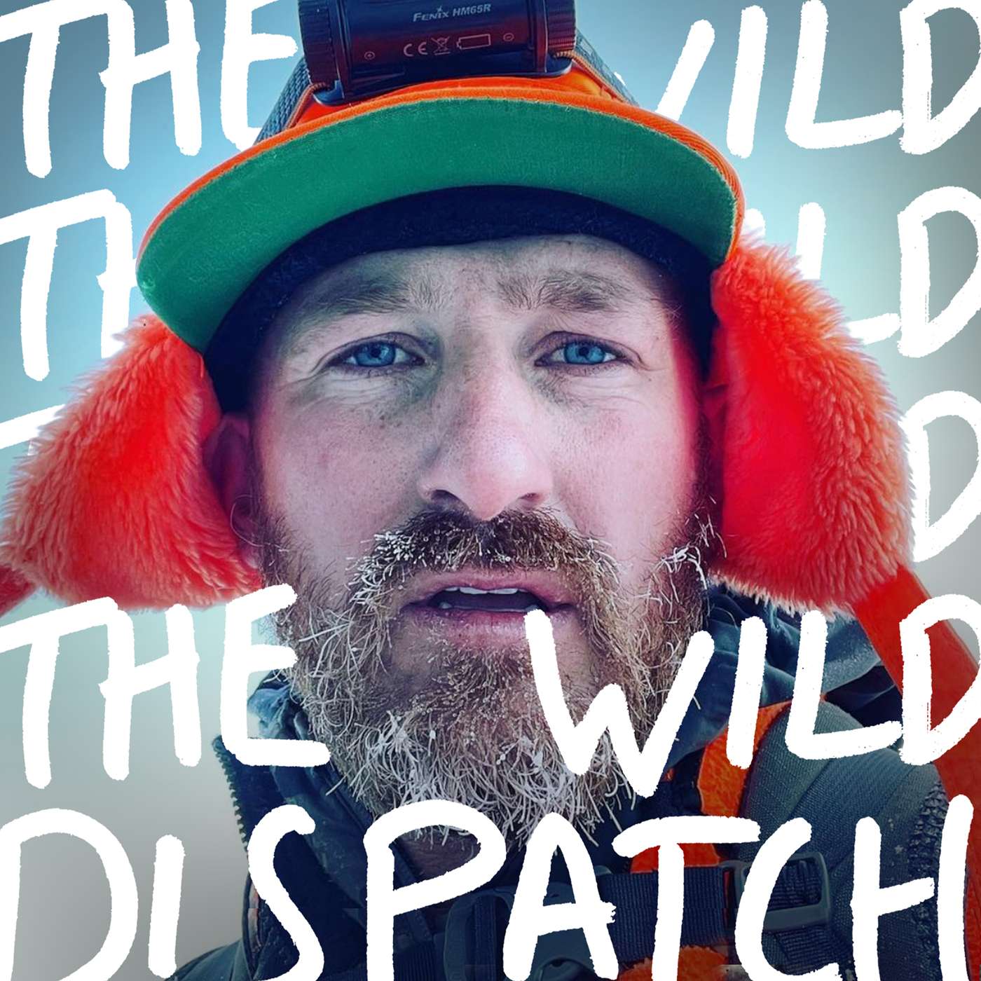 The Wild Dispatch