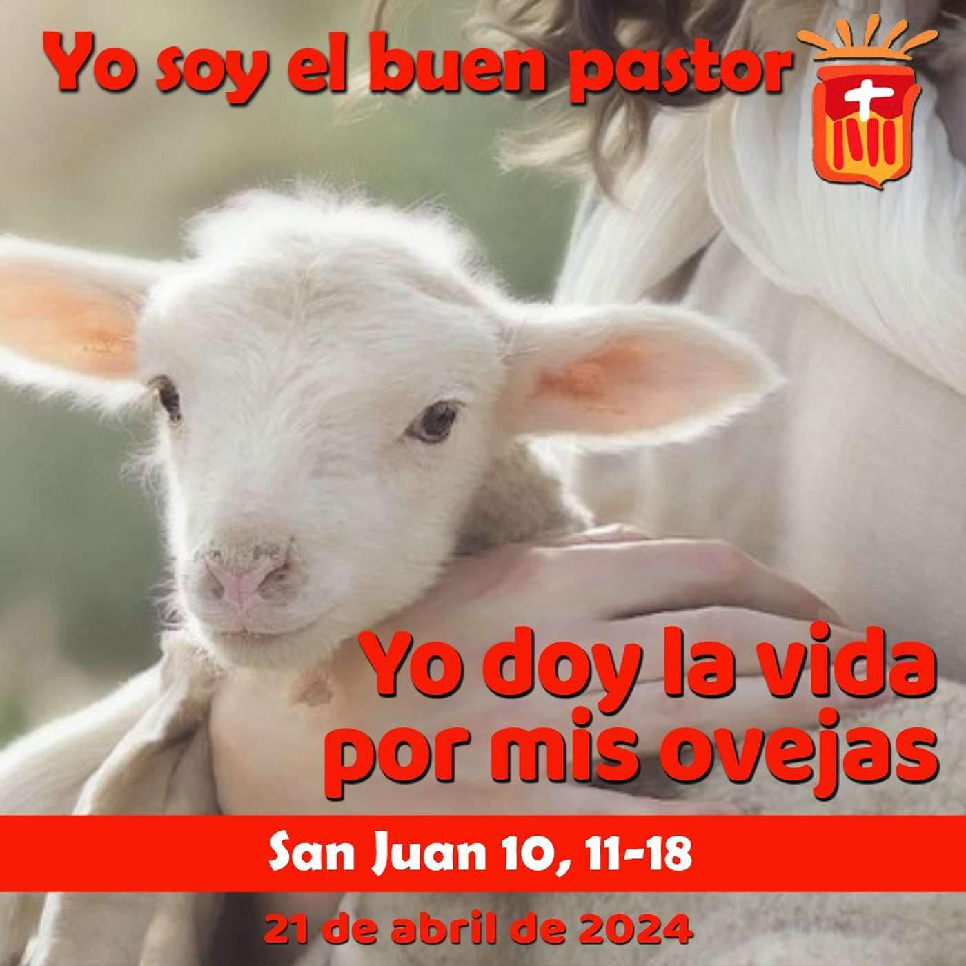 2024-04-21 San Juan 10, 11-18: IV Domingo de Pascua.
