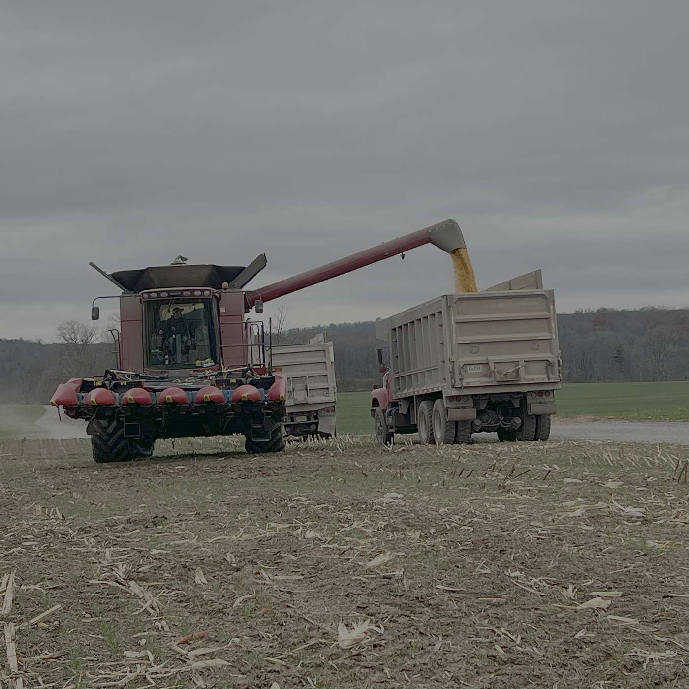 S4:E3: Harvest Do’s and Don’ts: Safety, Compaction, and Equipment