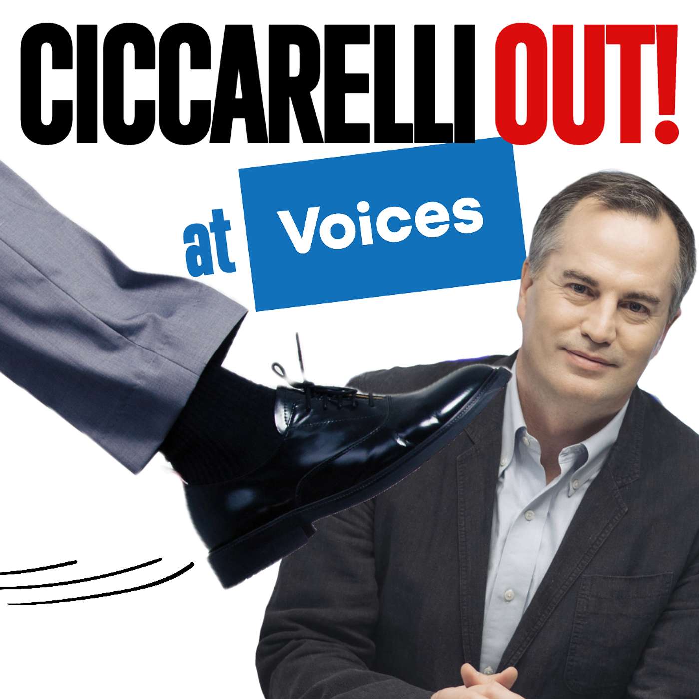 VO Pro: The Business of Voiceover and Voice Acting