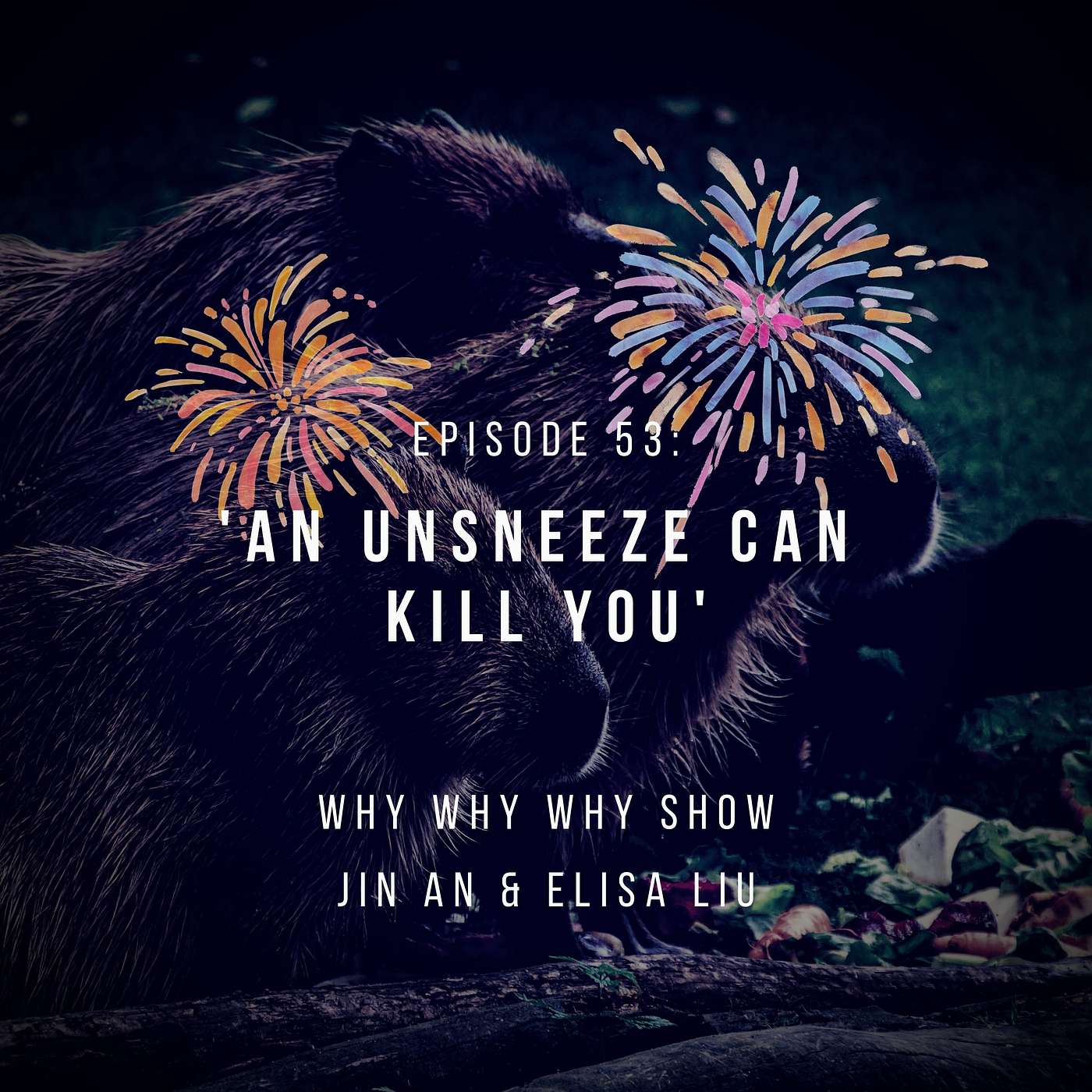 53: An Unsneeze Can Kill You (The 2021 Good News Episode!) episode artwork