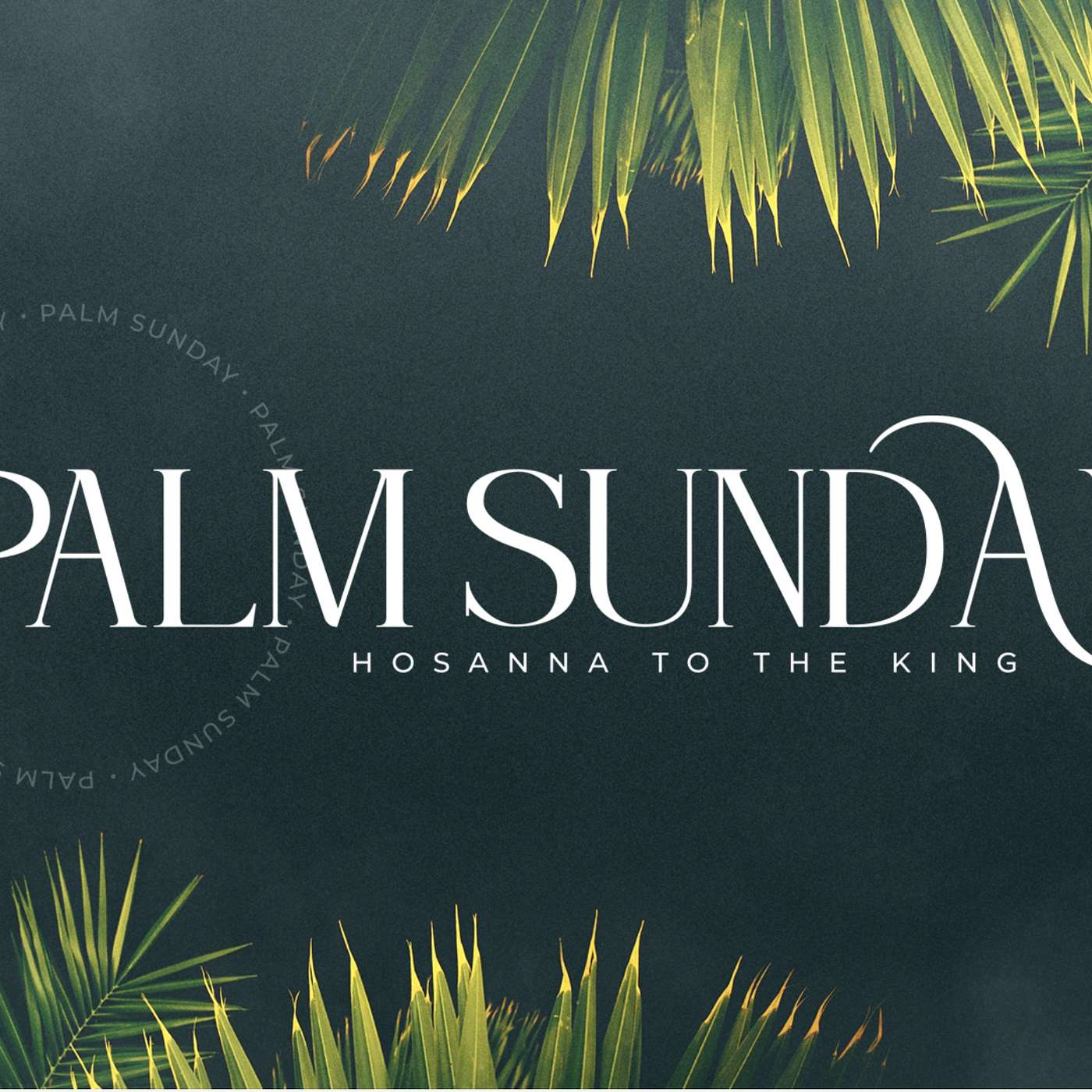Palm Sunday - 26'