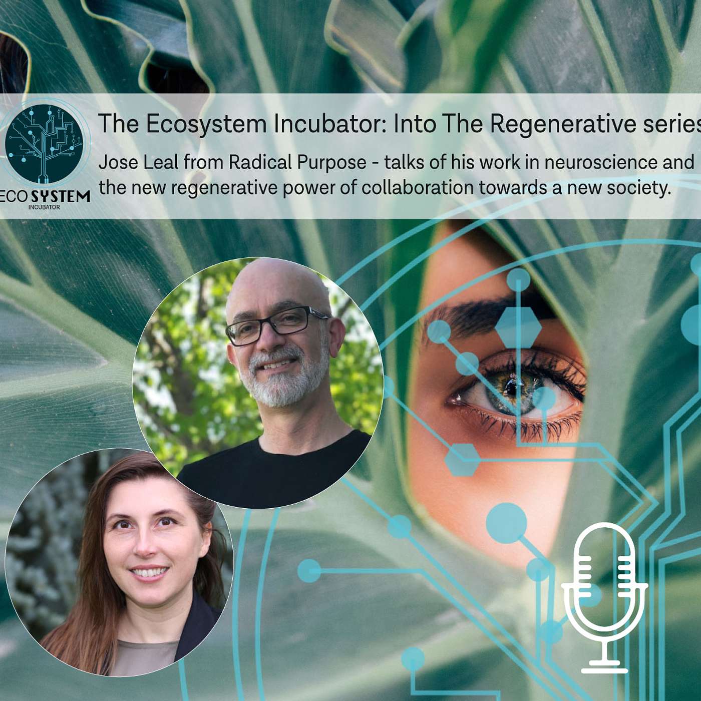 The Ecosystem incubator - INTO THE REGENERATIVE - ''THE COLLABORATIVE'' - Jose Leal - Radical Profiles