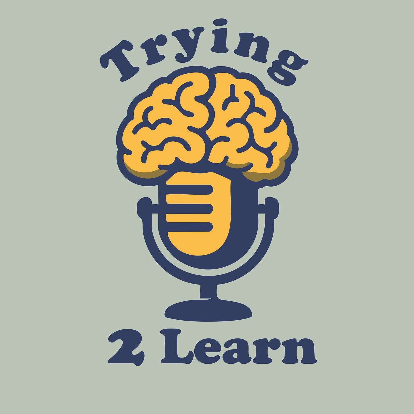 Trying 2 Learn
