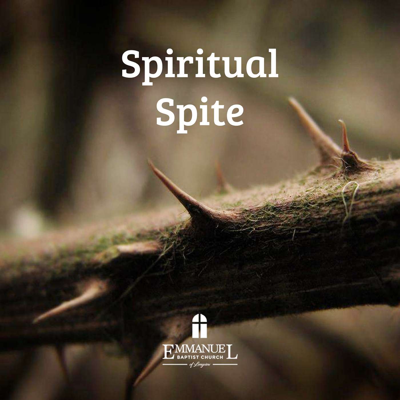 Spiritual Spite  - Sun PM 11/1/20 - Pastor Bob Gray II episode artwork