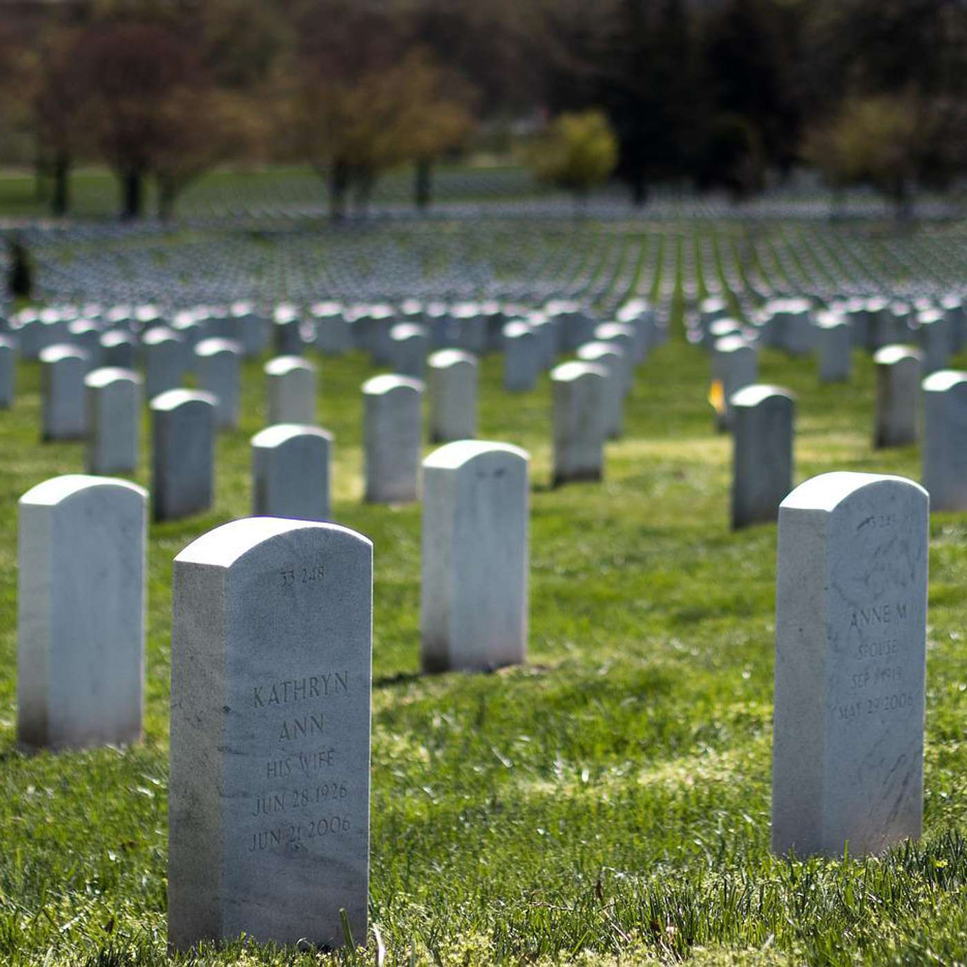 Everyone Dies (Every1Dies)