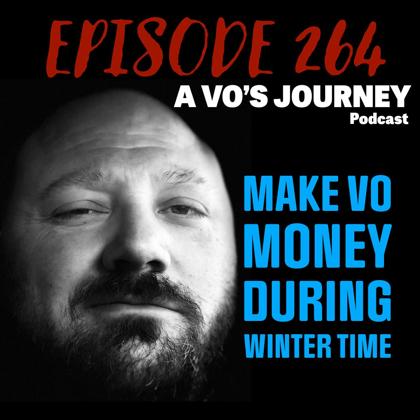 A VO\'s Journey: Voiceover and more voice over
