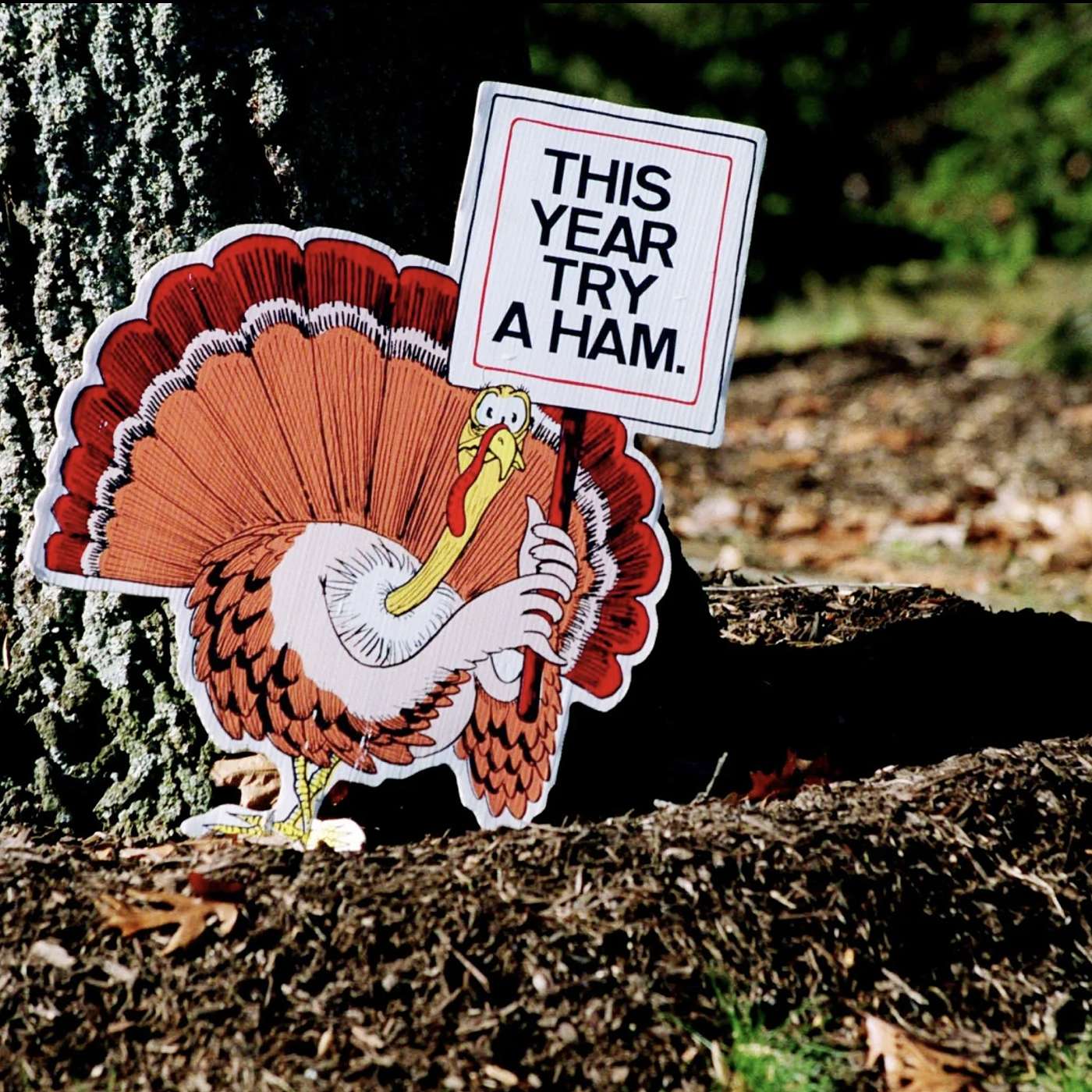 S2 E39 - Turkey Day Prep episode artwork