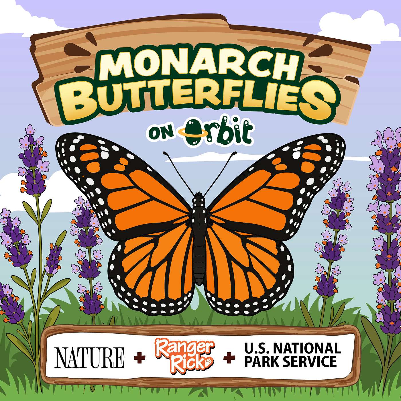 A monarch butterfly's 3,000-mile journey!