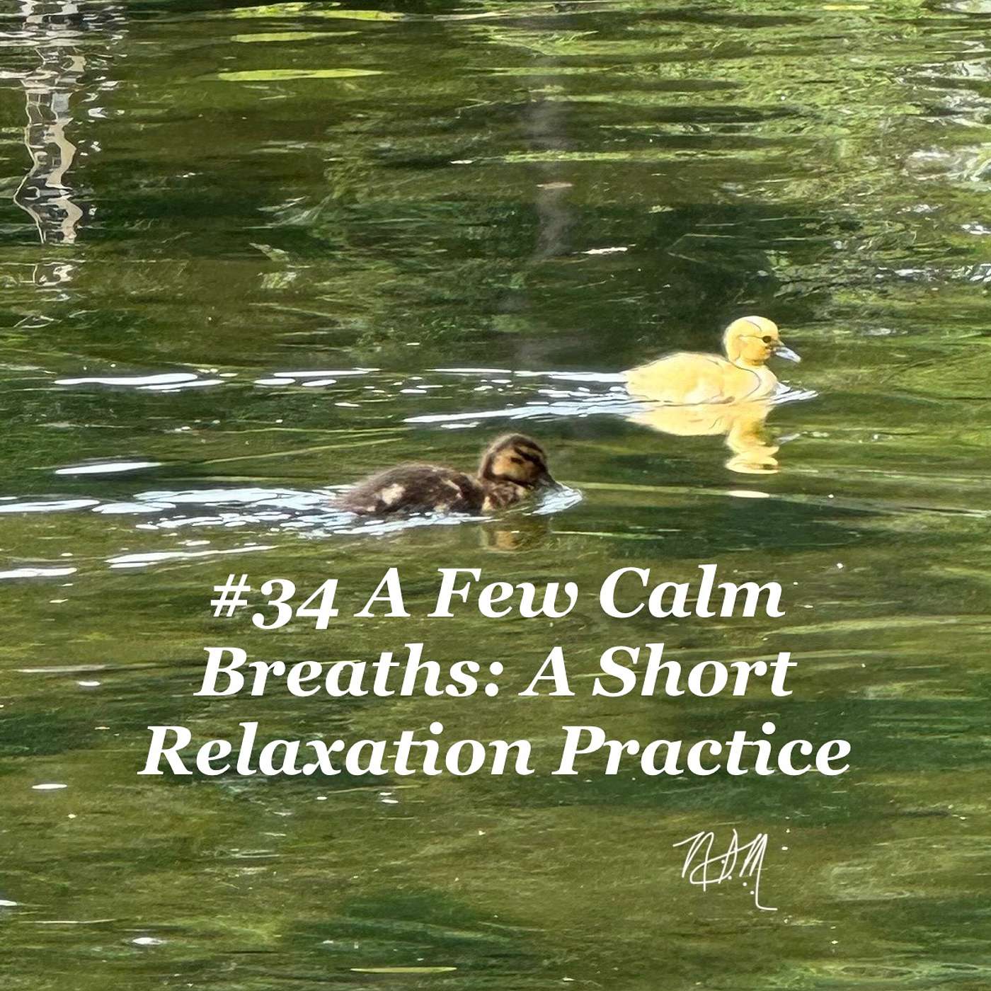 #34 A Few Calm Breaths (Short Relaxation Practice)