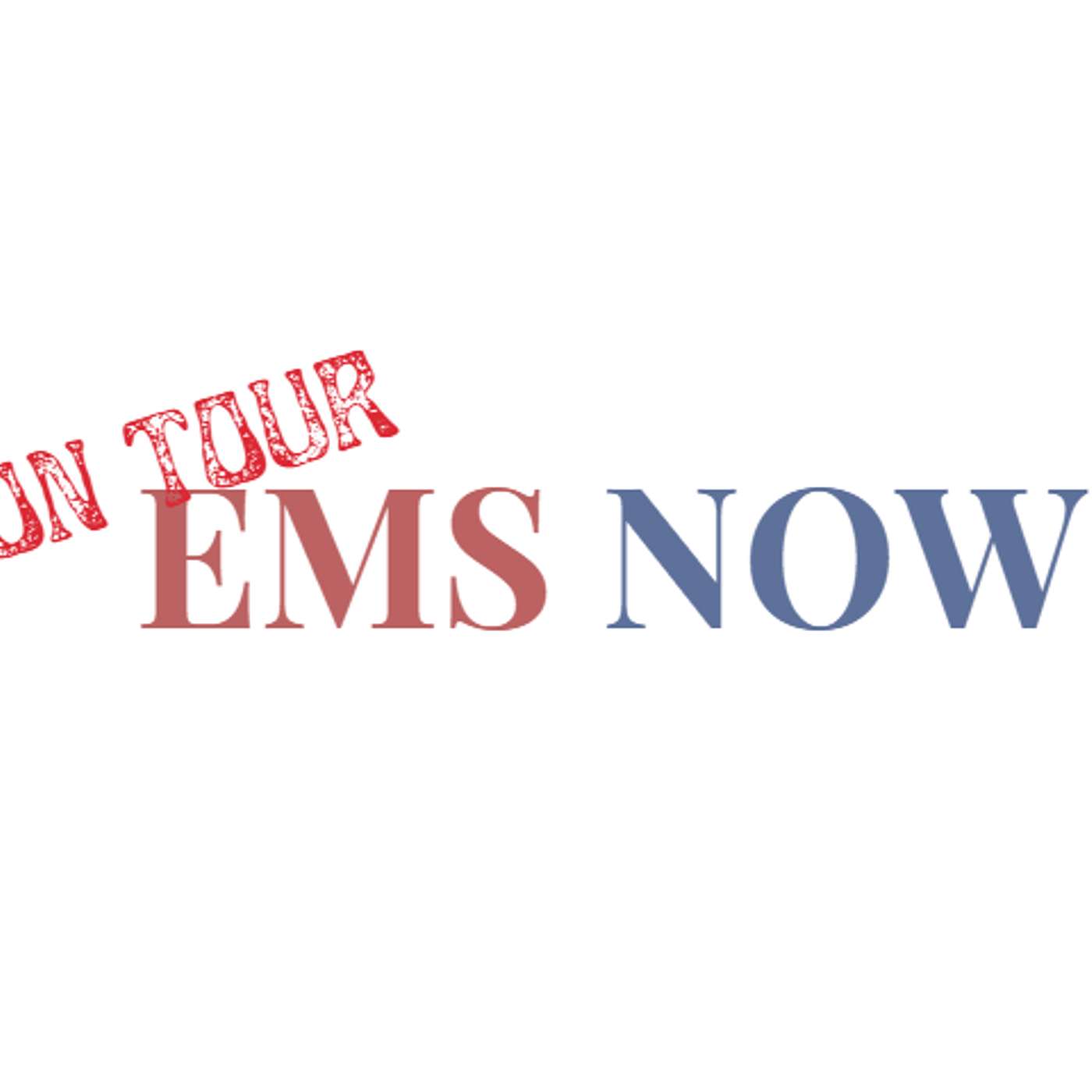 EMSNOW On Tour: India Podcast 8 - Cyient DLM and Kaynes Technology