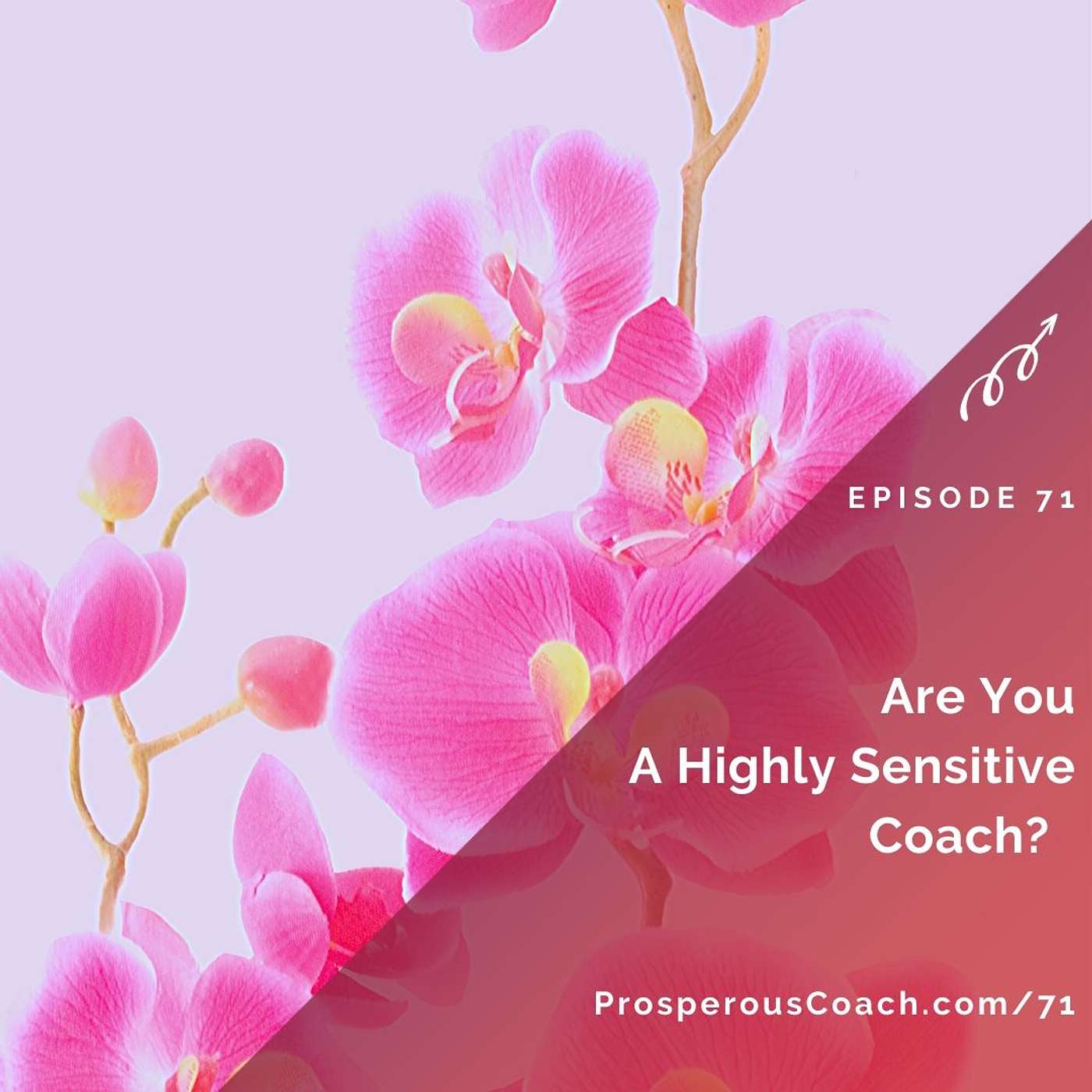 71: Are You A Highly Sensitive Coach?
