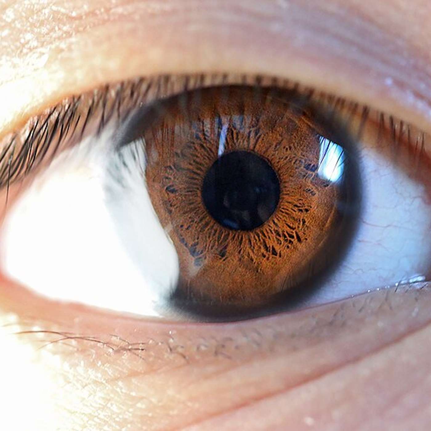 Full Scope Human Longevity