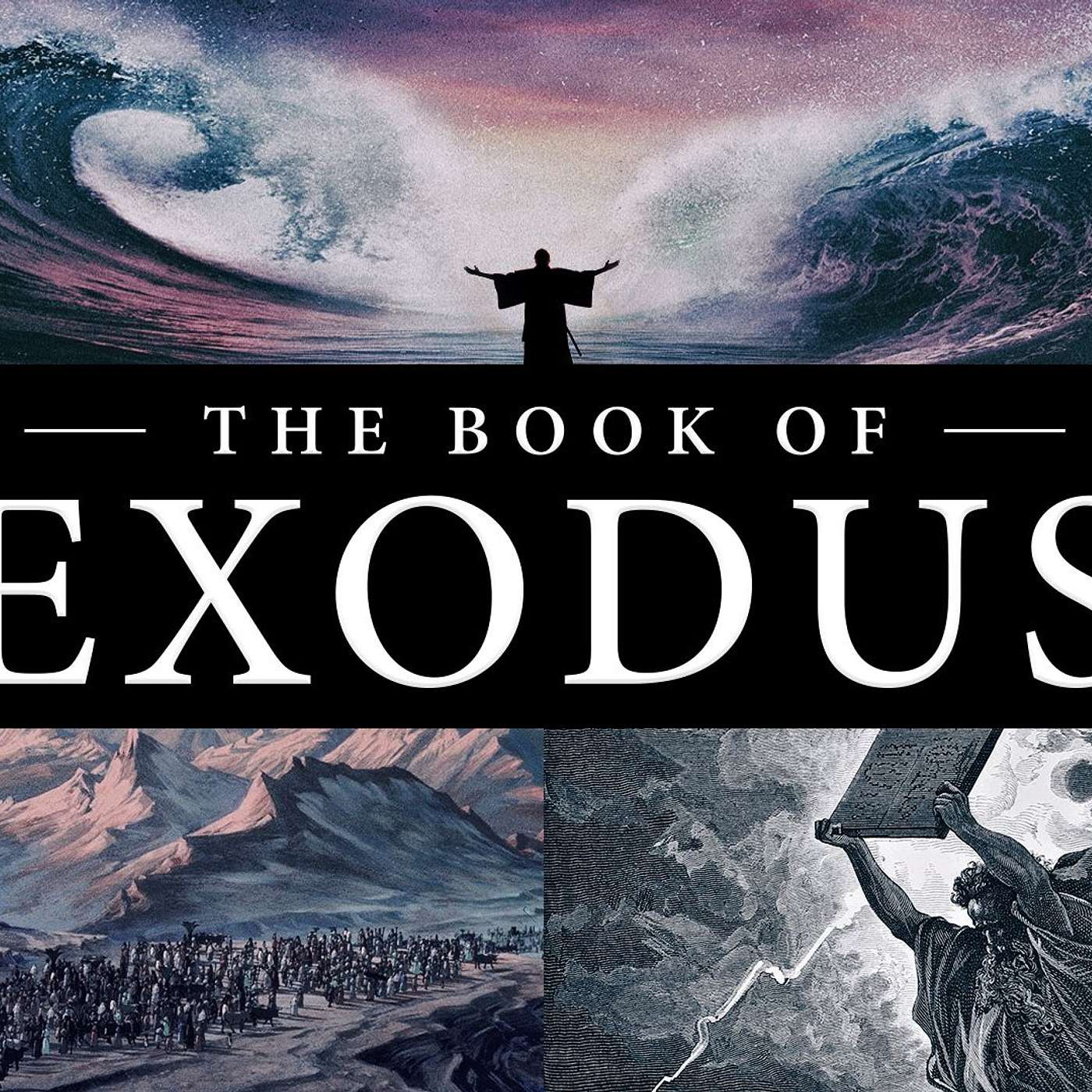 Moses Before Pharoah - Part 2 - Plagues 4, 5 and 6. (Exodus 8:20-9:12)