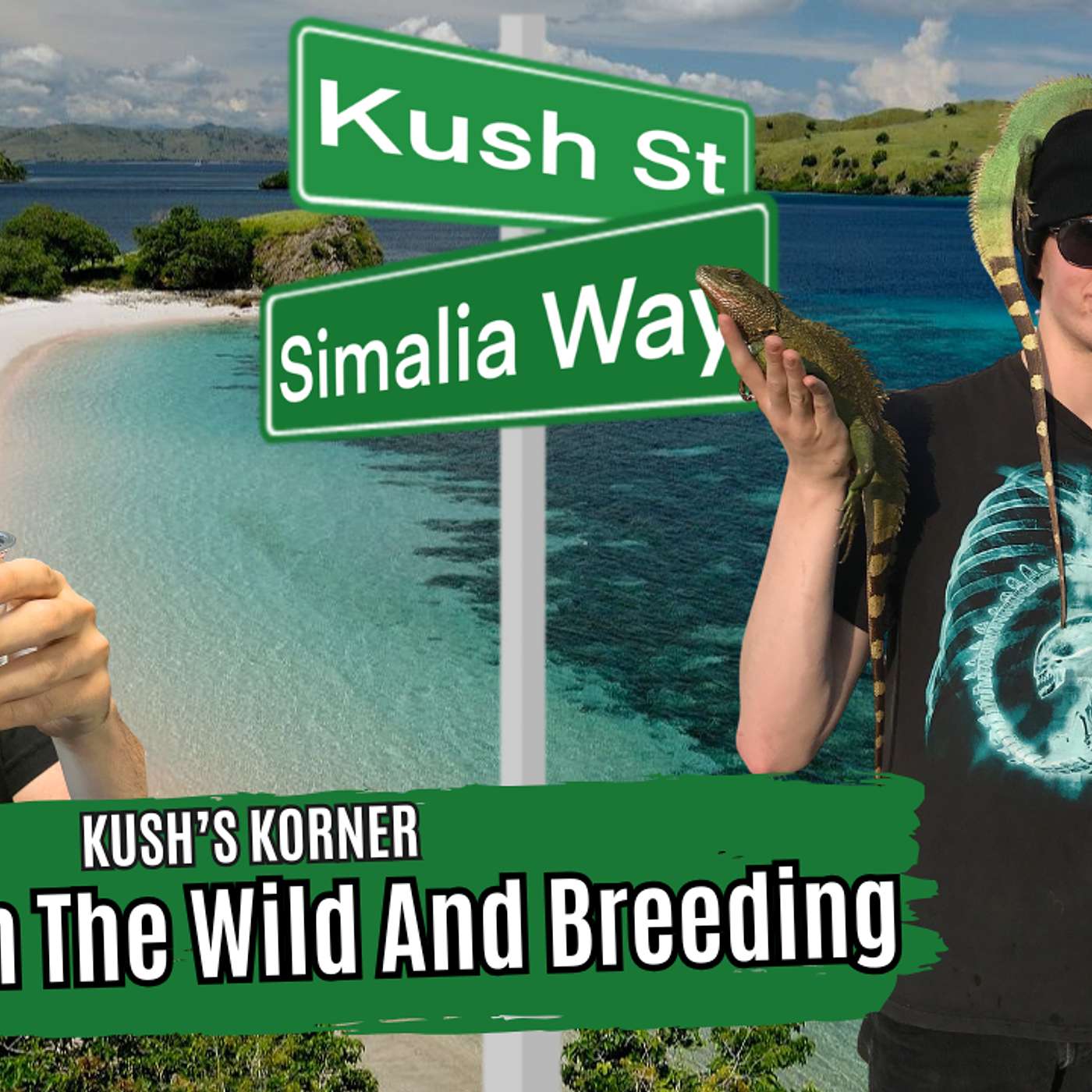 Breeding Sailfins And Herping Sulawesi W/Alex Myers | Kush's Korner Live